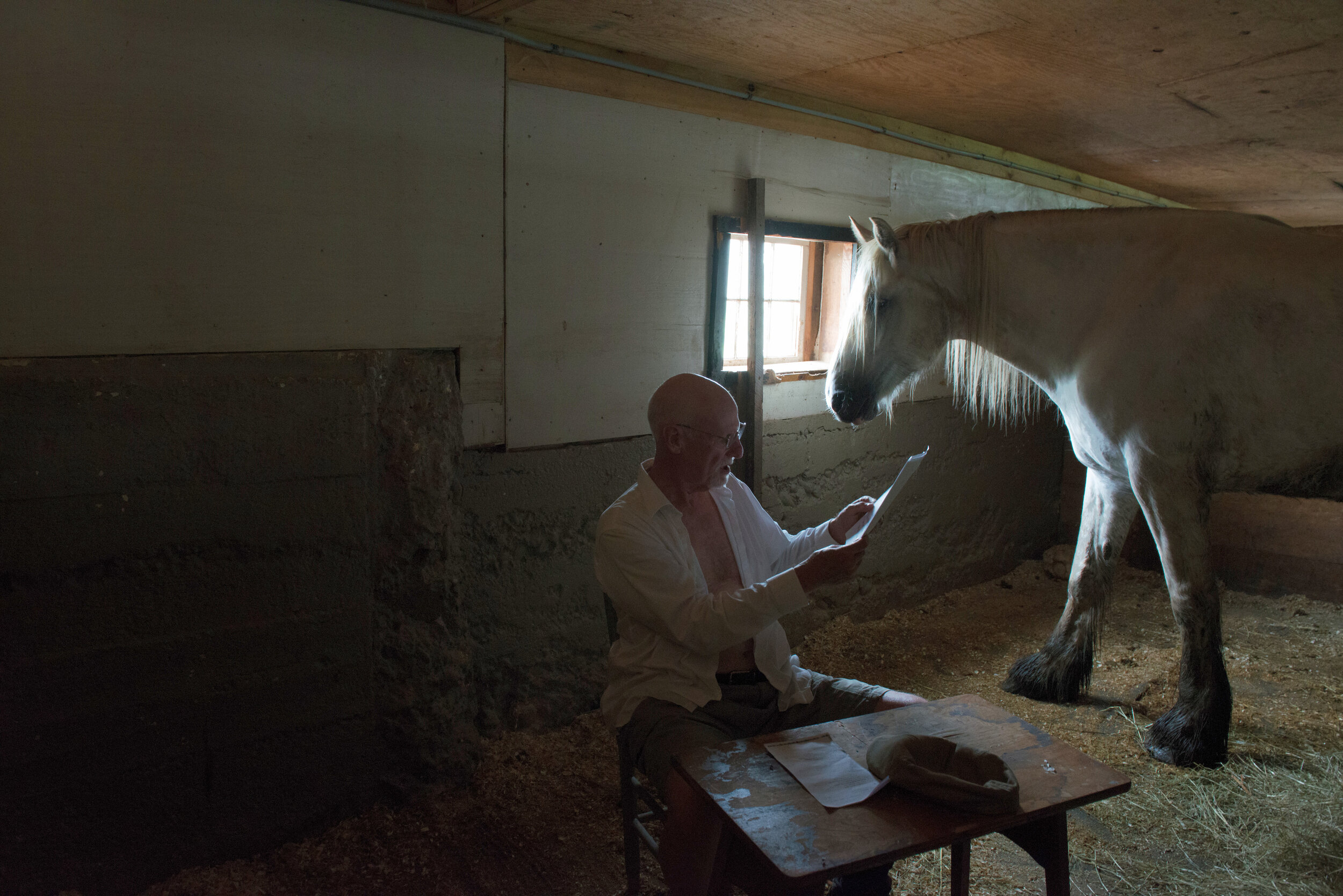 Nancy winship Milliken Studio How to read poetry to a horse 3.jpg