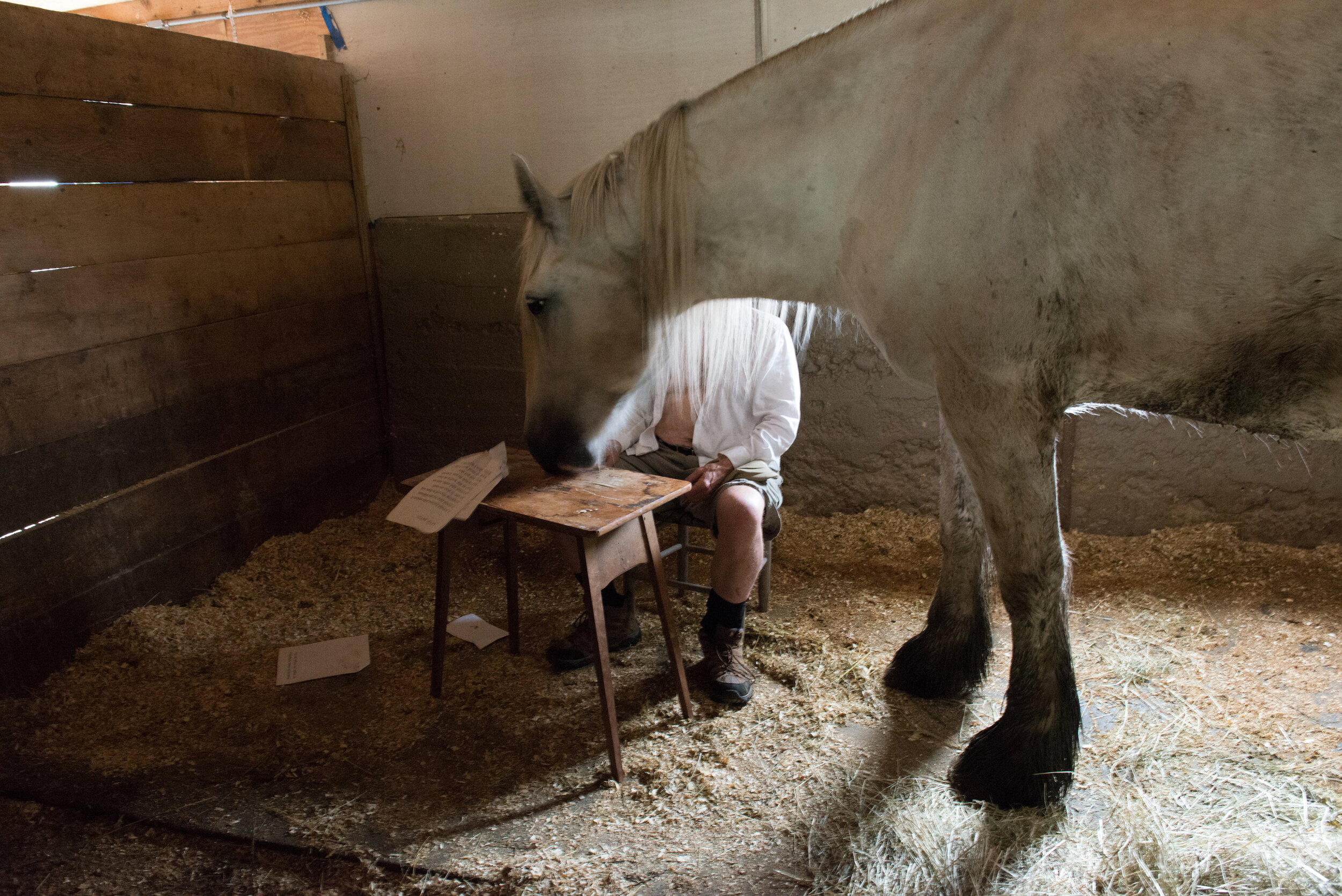 Nancy winship Milliken Studio How to REad Poetry to a Horse.jpg
