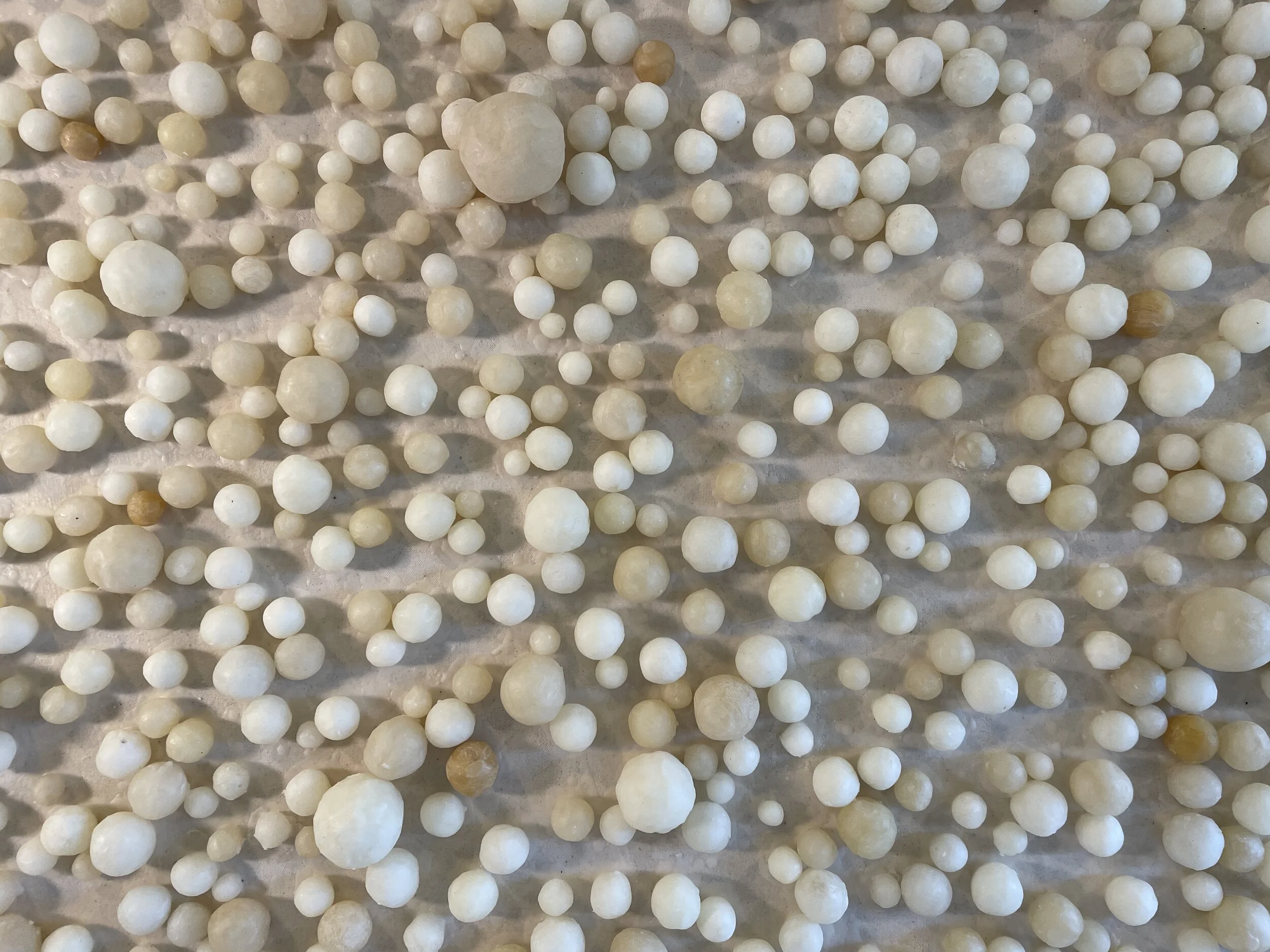 NWM Studio Bas Relief.JPG