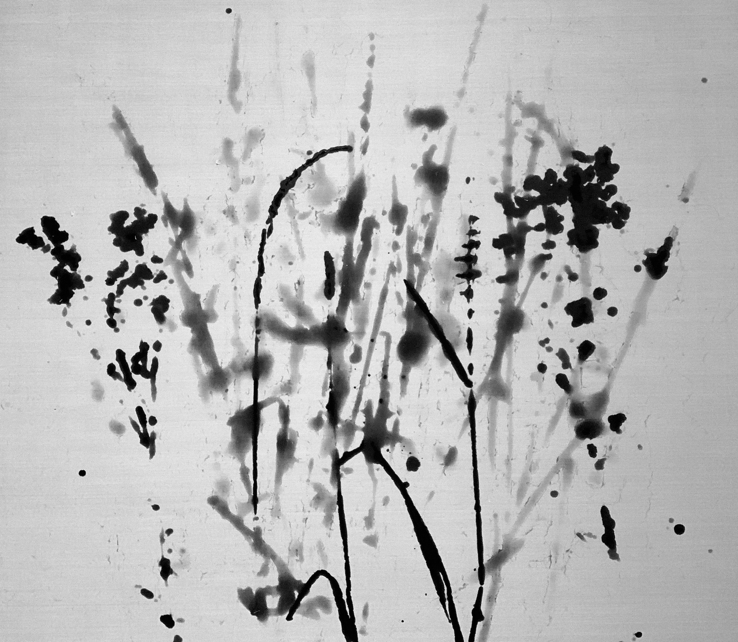 Field Print 15