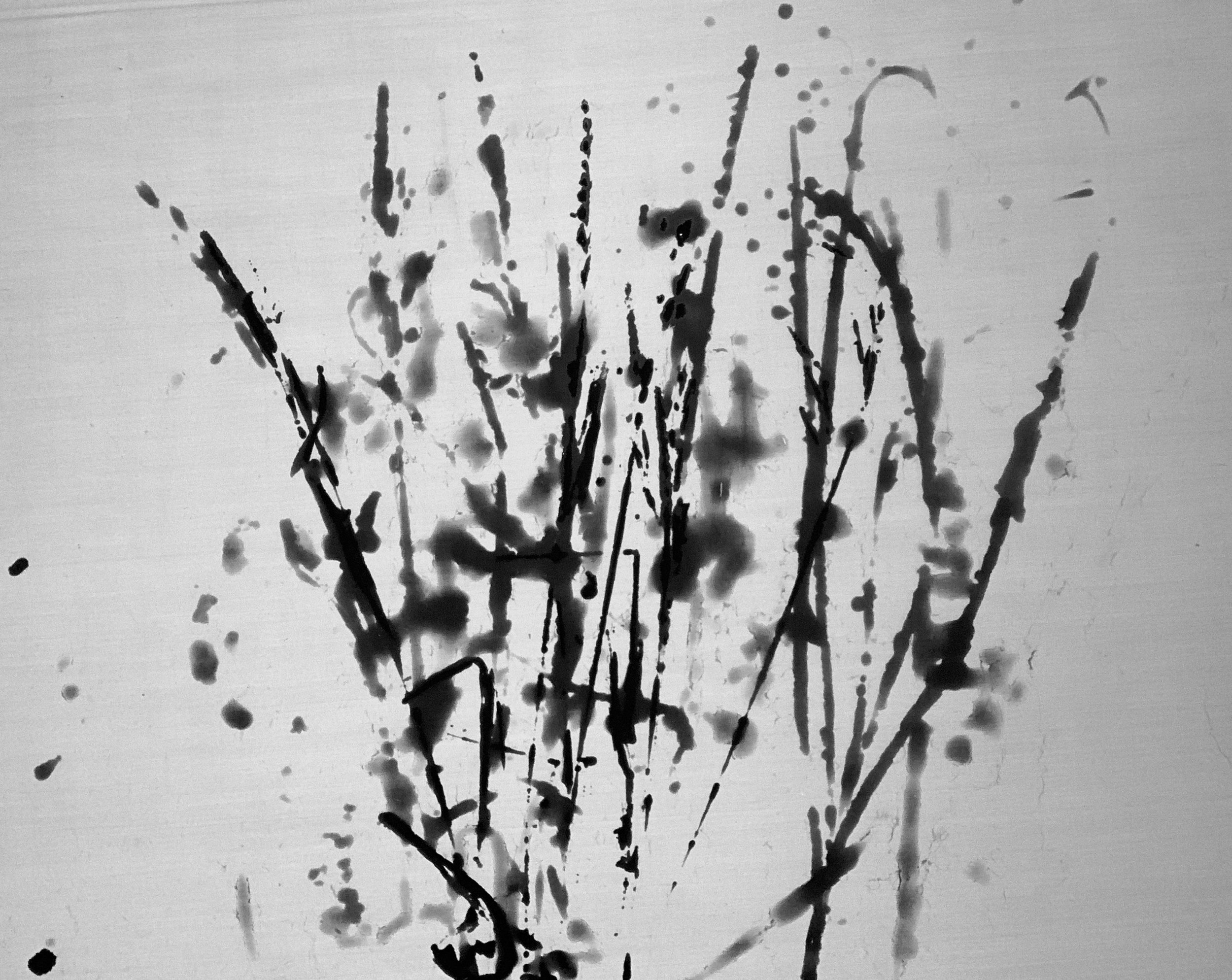 Field Print 1