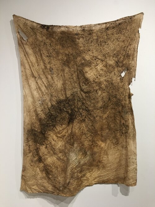 Untitled (Compost Silk)