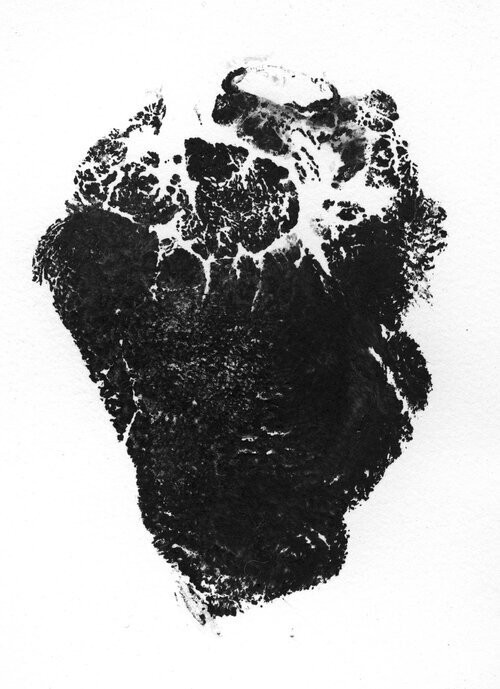 Bear Heart Print
