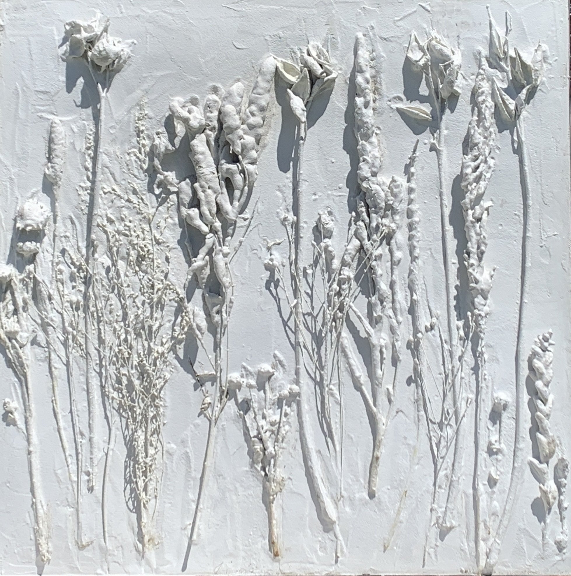 Memorial for a Field