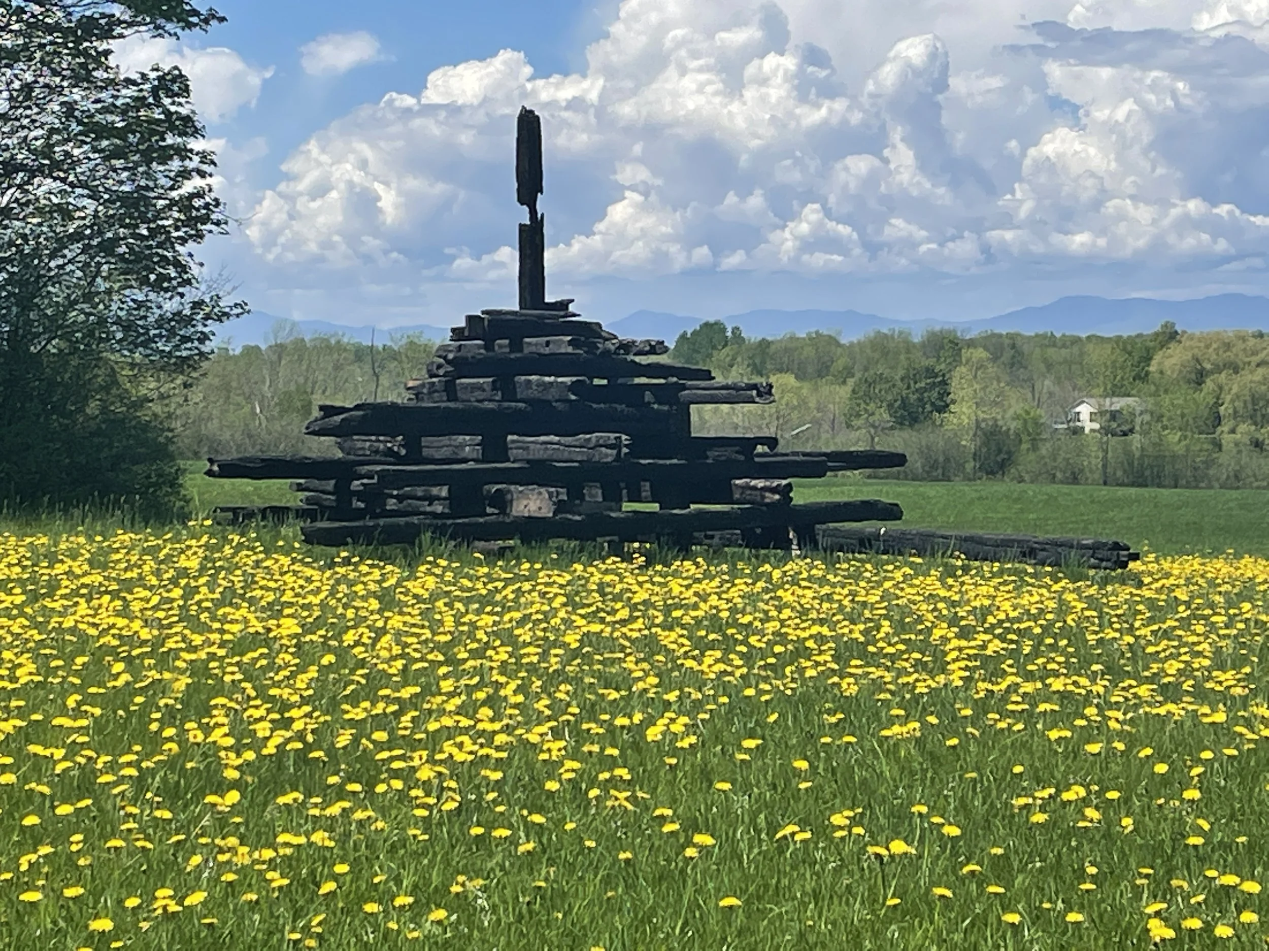 Cairn with dandelions.JPG
