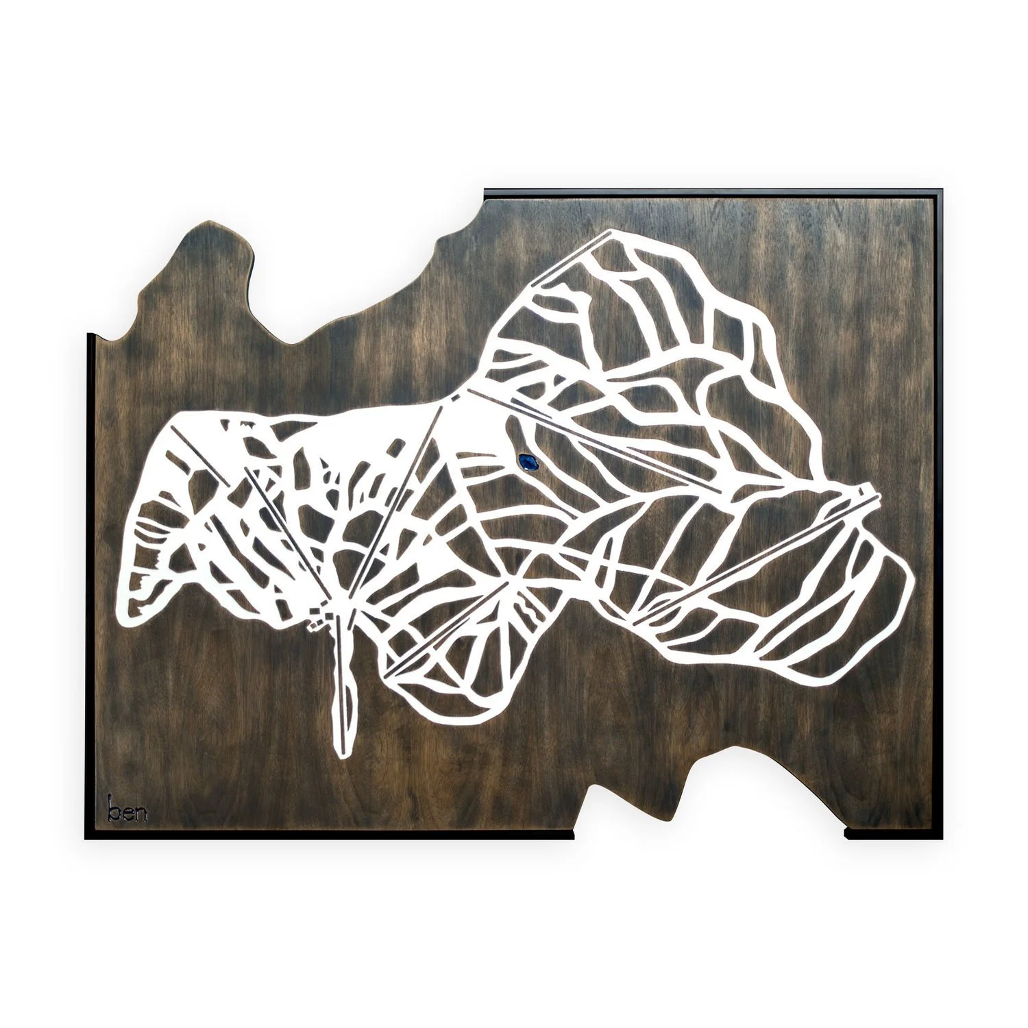 Schweitzer Mountain Ski Resort Terrain