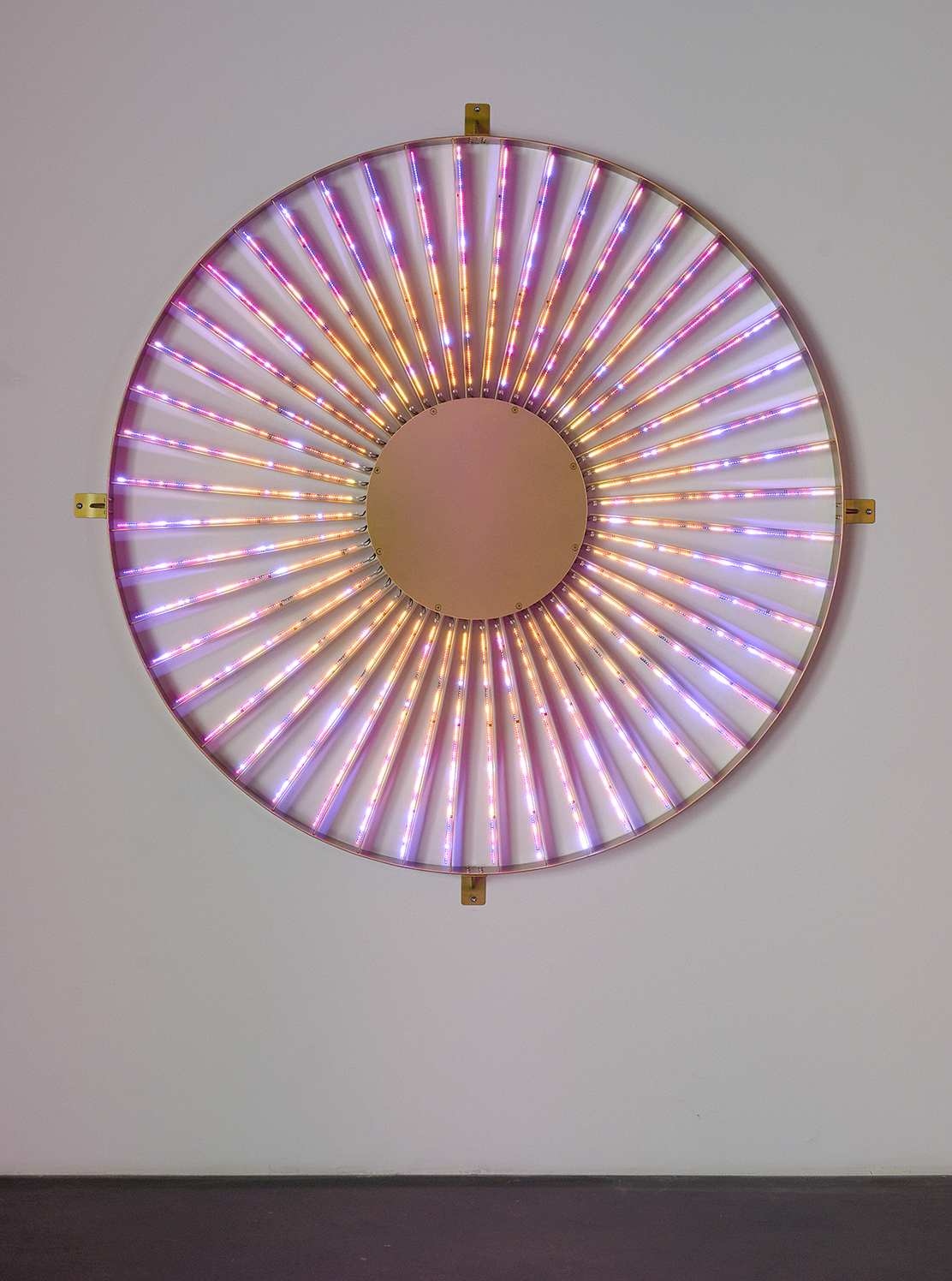 Radiant Wheel, 2016