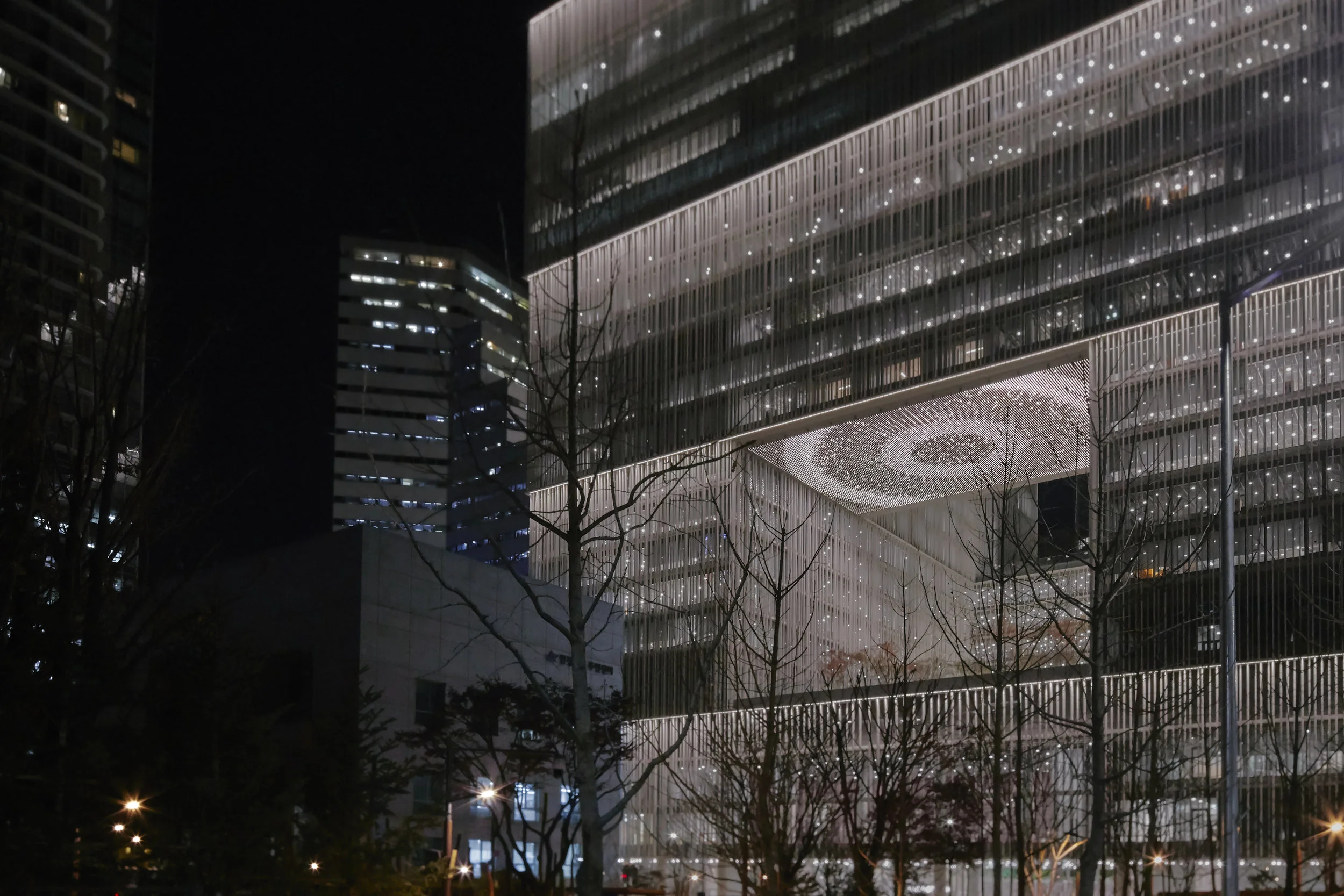 Infinite Bloom , 2017 Site-specific installation: Amorepacific Museum of Art, Seoul, South Korea