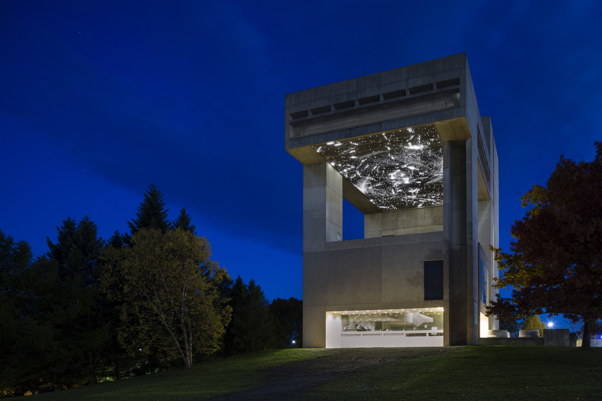 Cosmos, 2012 - Cornell University, Ithaca, NY