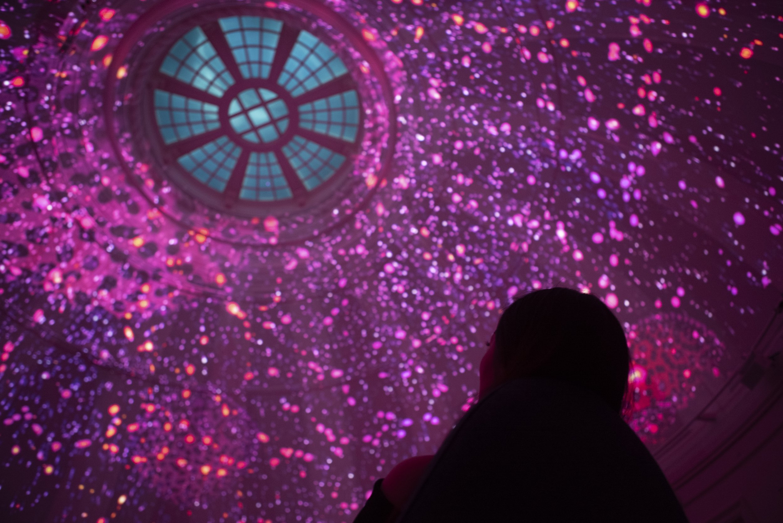 2025-10-06 CelestialGardenYale.050_Andreas Burgess.jpg