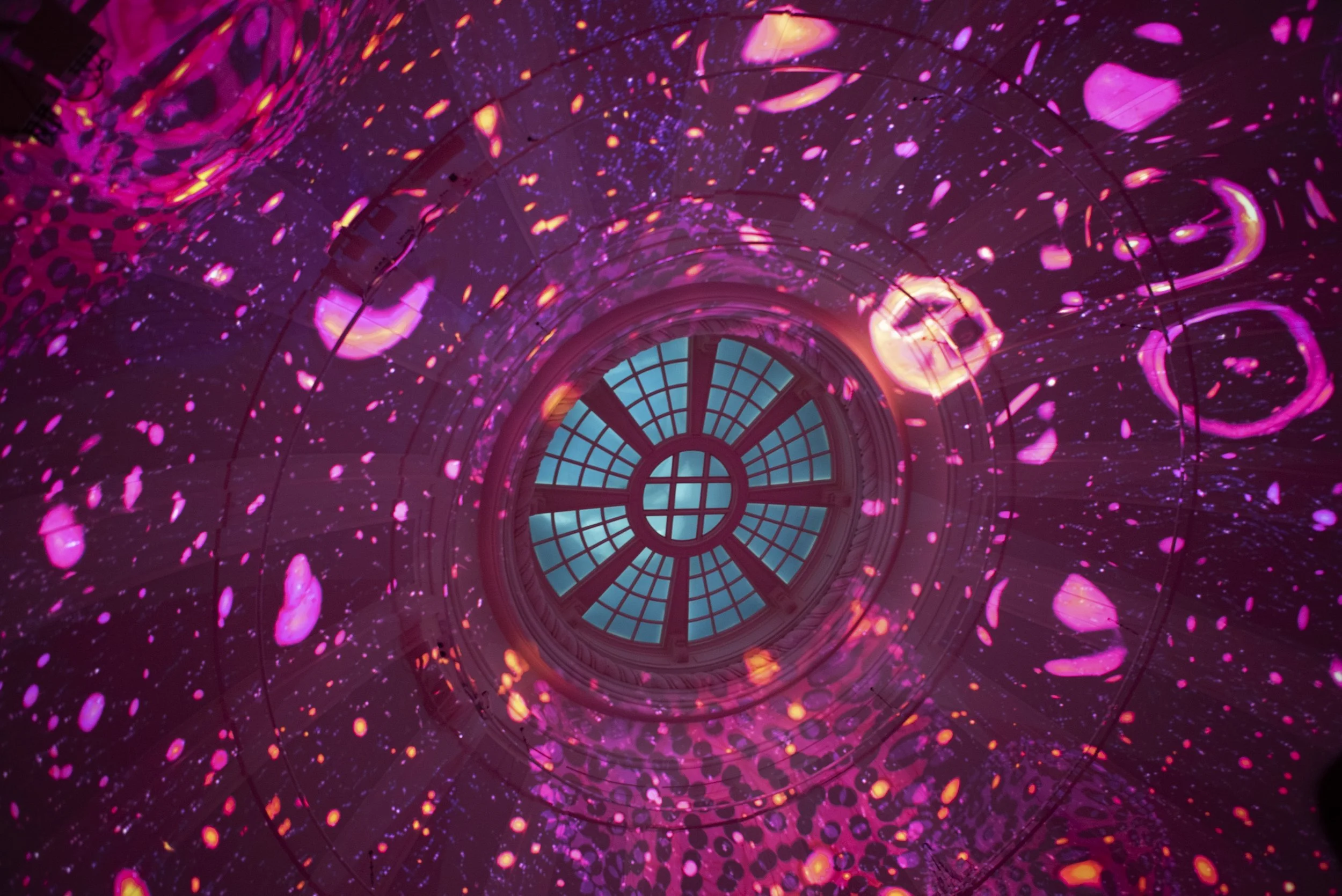 2025-10-06 CelestialGardenYale.068_Andreas Burgess.jpg