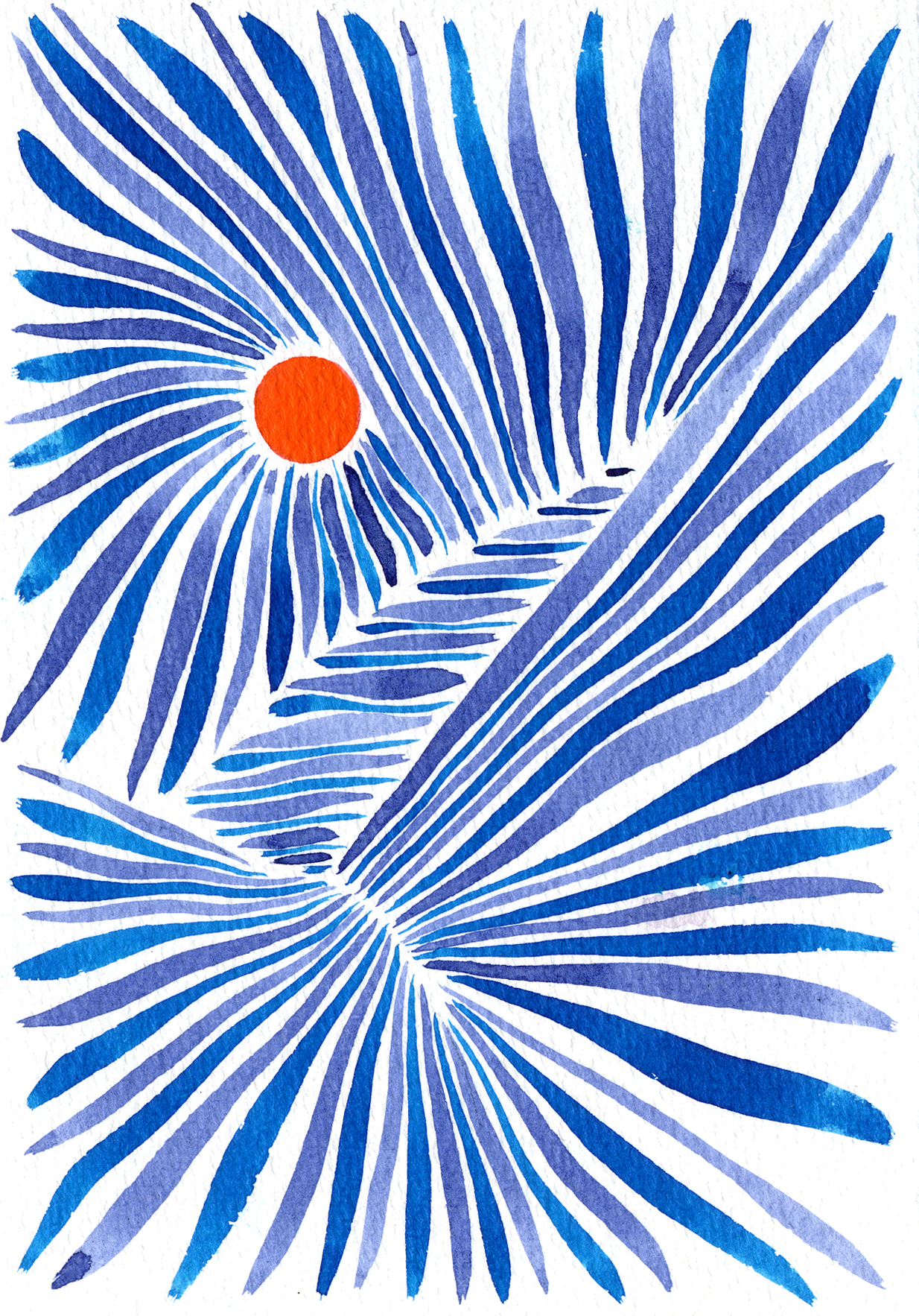 RISING SUN1_LUKE TAAFFE.jpg