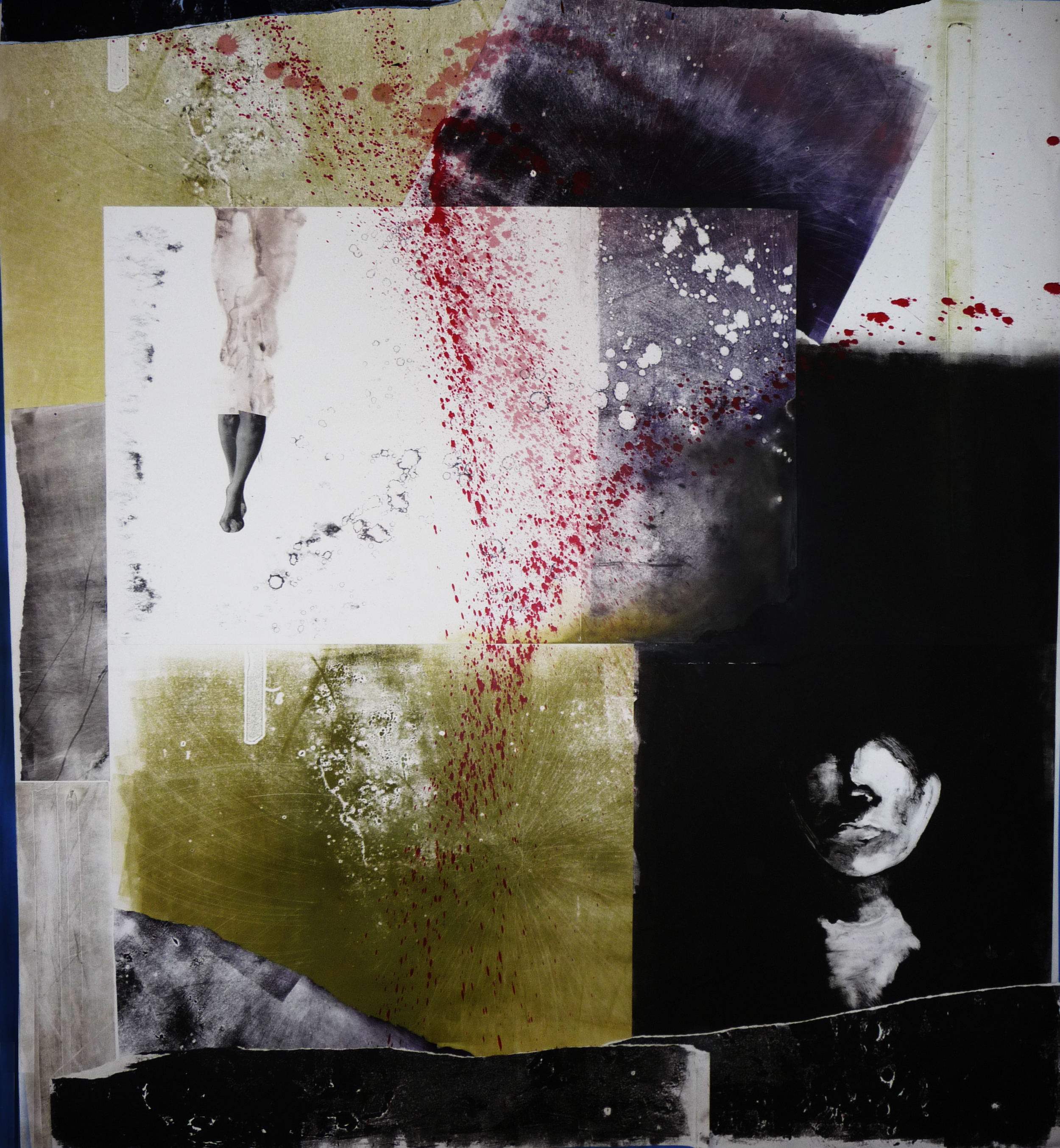   Andrea Nesbitt   Monoprints 