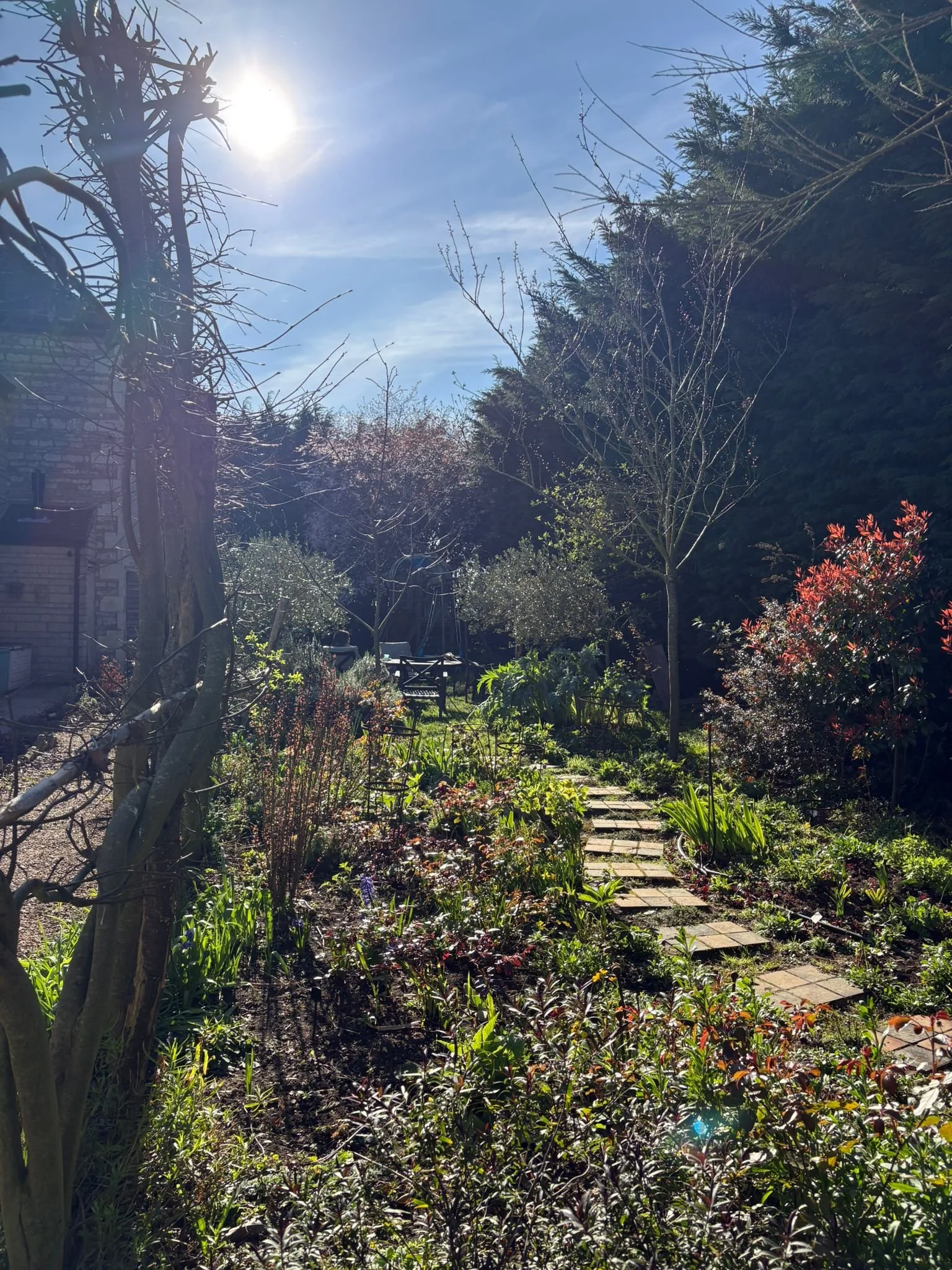 WhatsApp Image 2026-03-23 at 12.07.09 (1).jpeg