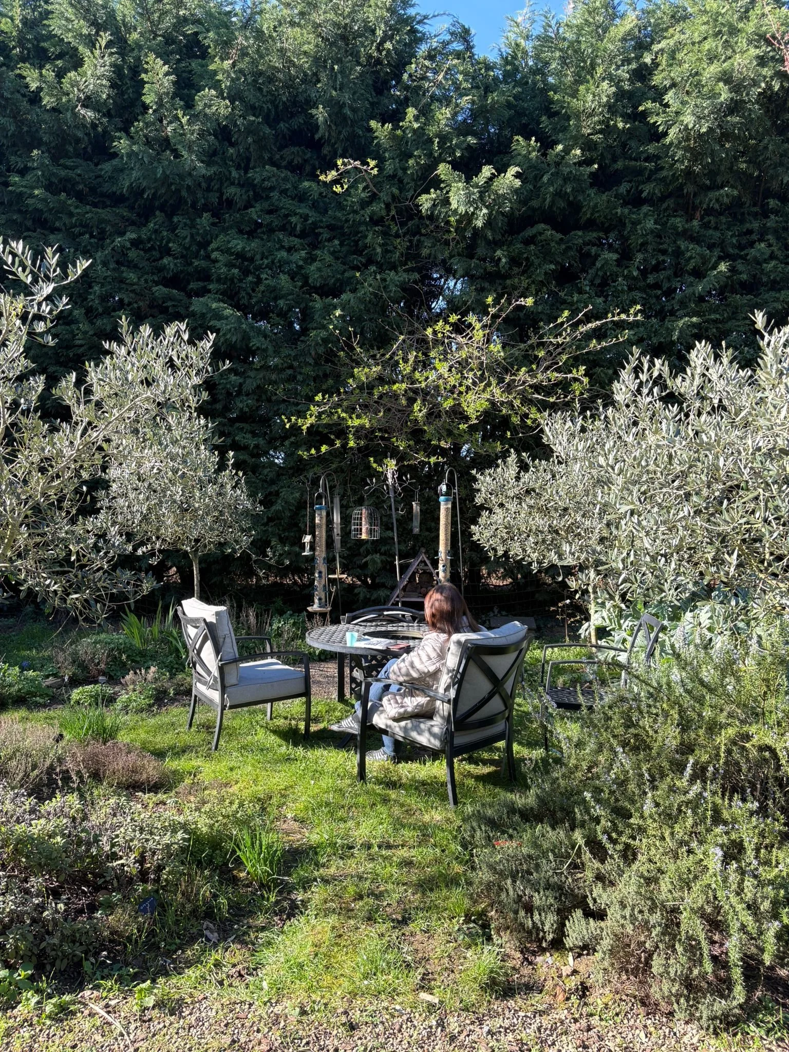 WhatsApp Image 2026-03-23 at 12.07.08 (2).jpeg