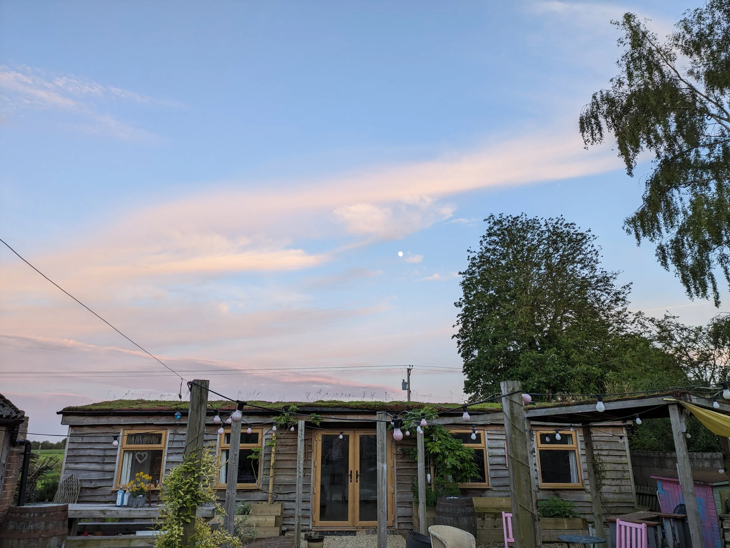 PXL_20240520_195426475 (1).jpg