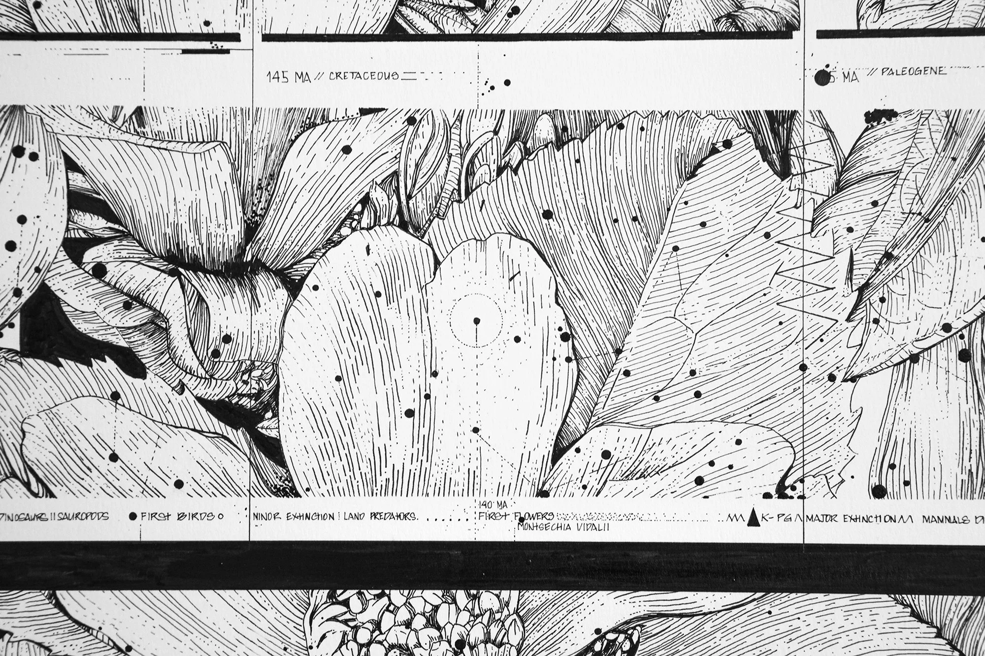 EonsEpochsEras-TheFirstFlowerLeftNoTrace_Detail_04 copy.jpg