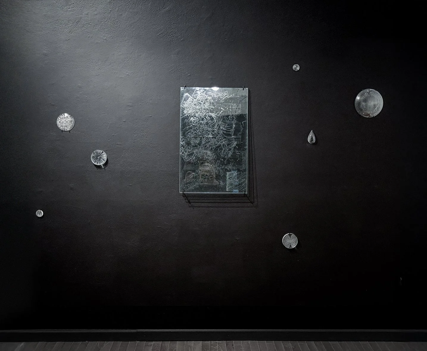 Engravings on Found Glass: The Shape of Life Through Deep Time; Cladograms, Trees of Life, Phylogenetic Trees, Evolutionary Maps