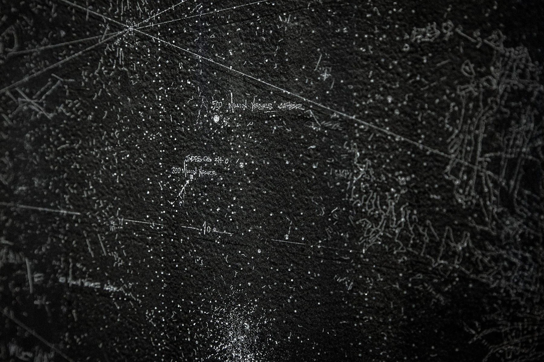 SomethingDeeplyHidden_2-Panel_ 28.5x13.9_DETAIL_2 copy.jpg