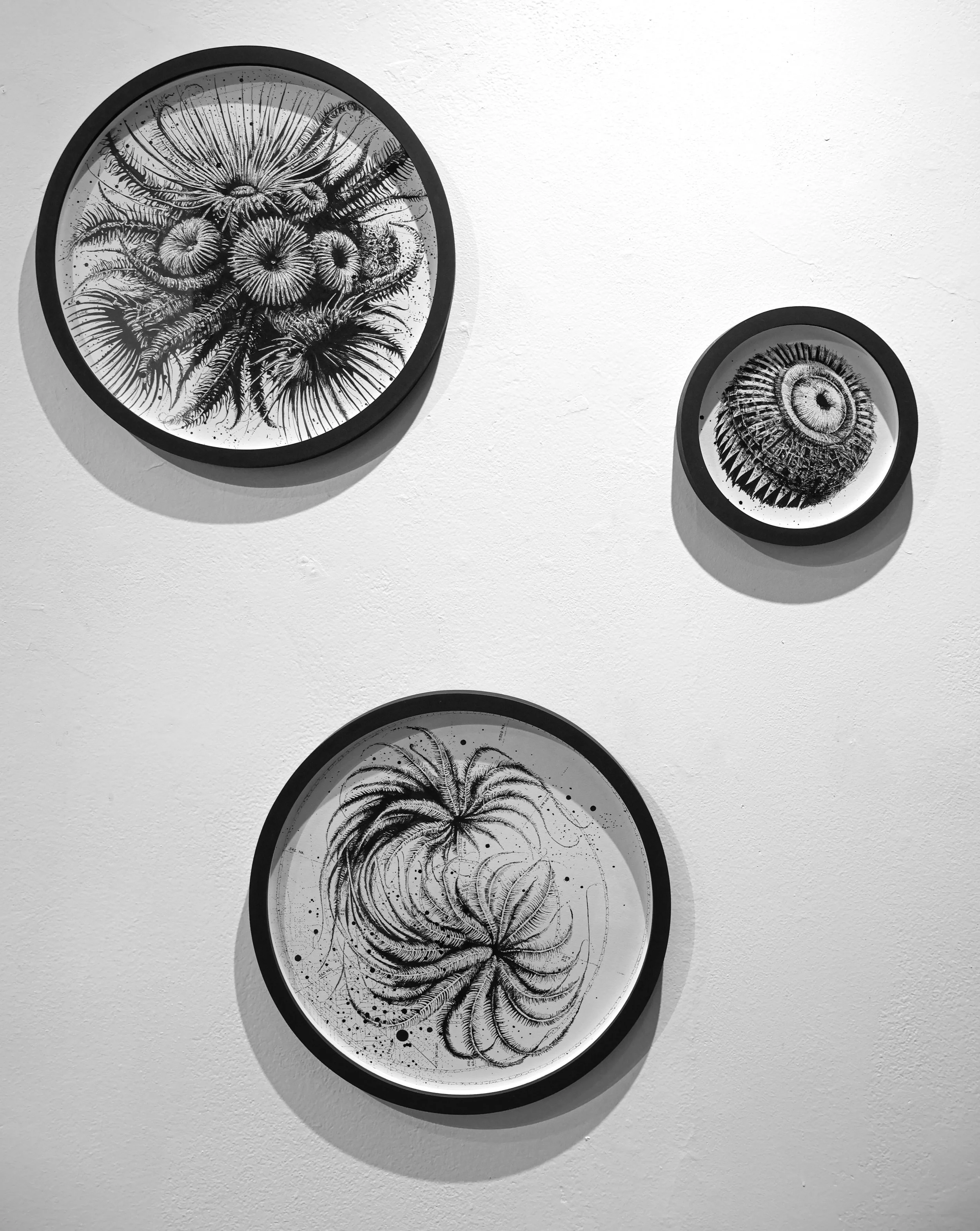 Here and Gone, 400 Million Years ( New Breath Under Devonian Stars ) 