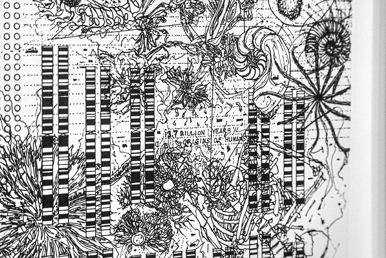 Drawing_Detail_MG_6186 copy.jpg