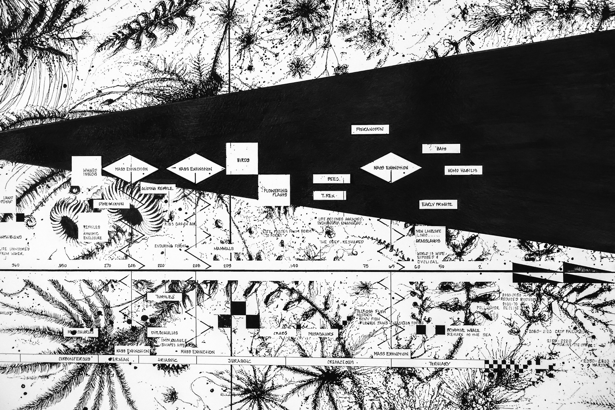 EonsEpochsEras_ Emergence-Unraveling_IMG_2182 copy.jpg