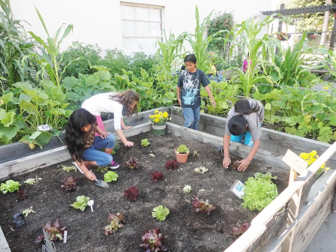 garden4.jpg