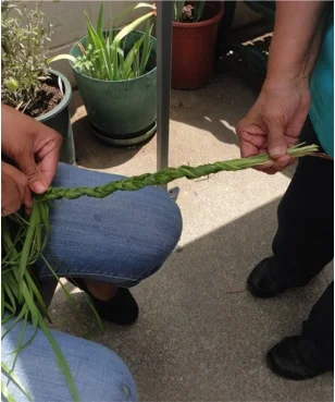 sweet grass 4.jpg