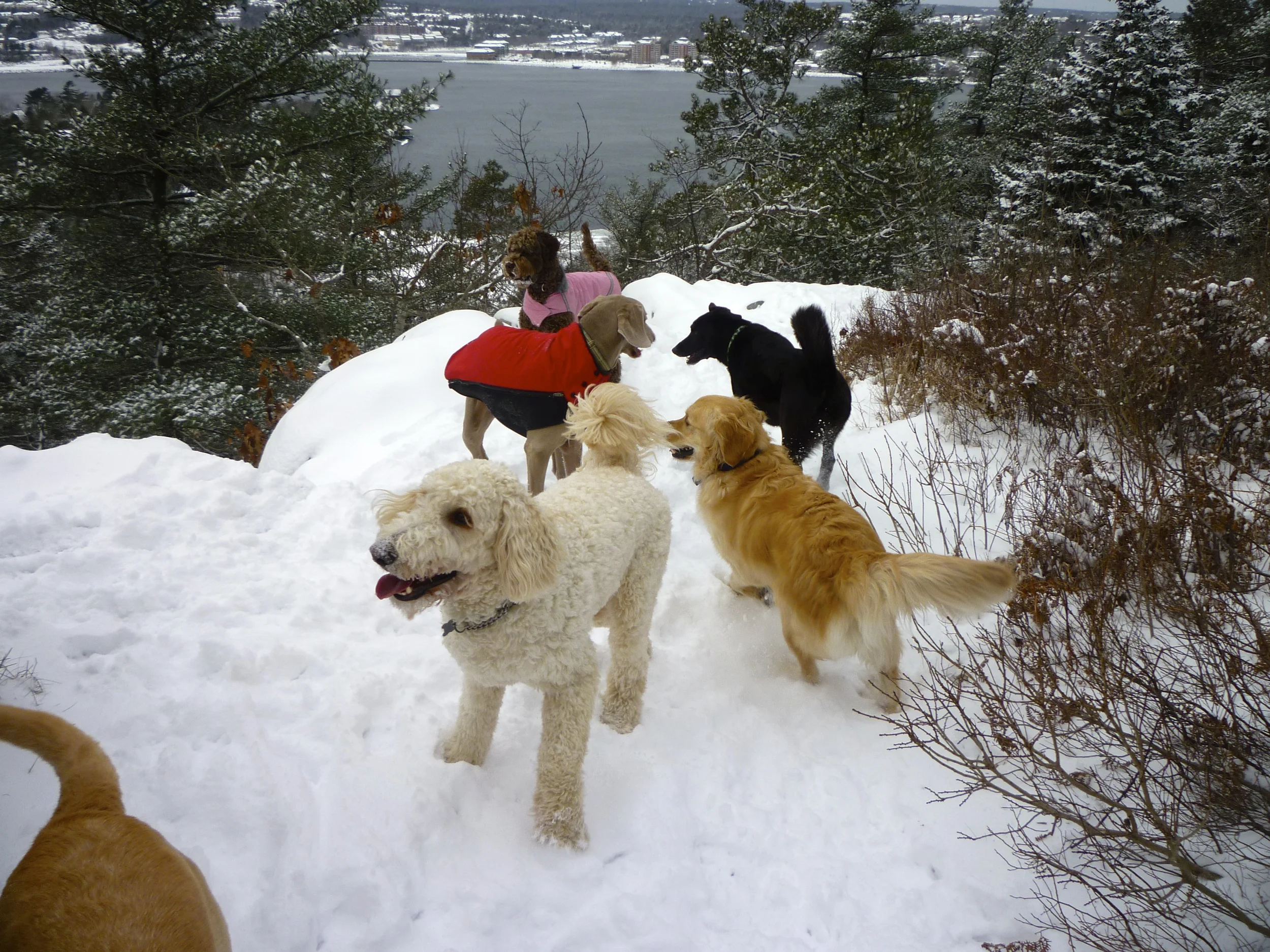 Hiking at Eagle's rock.
