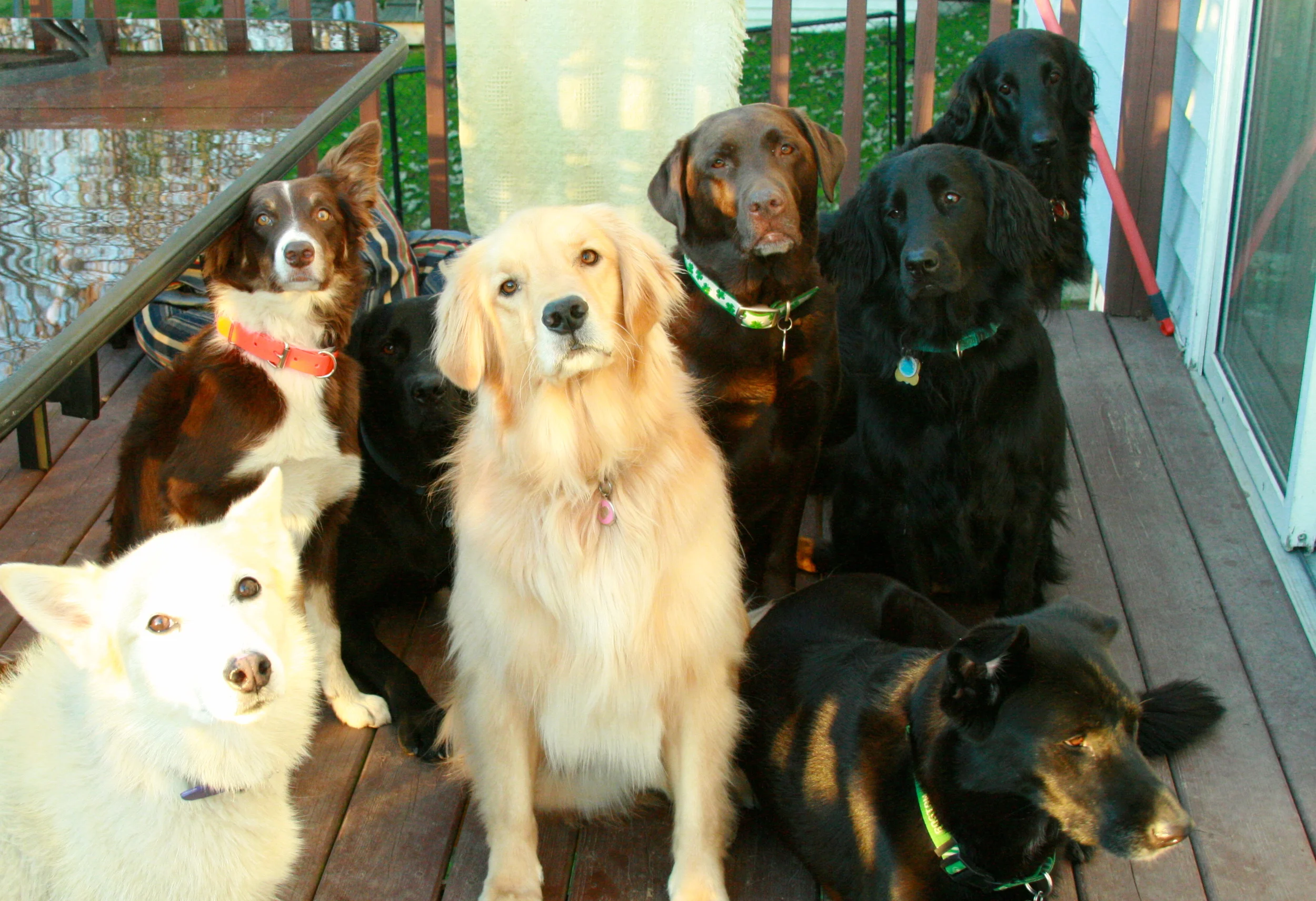 Boarding a house full.