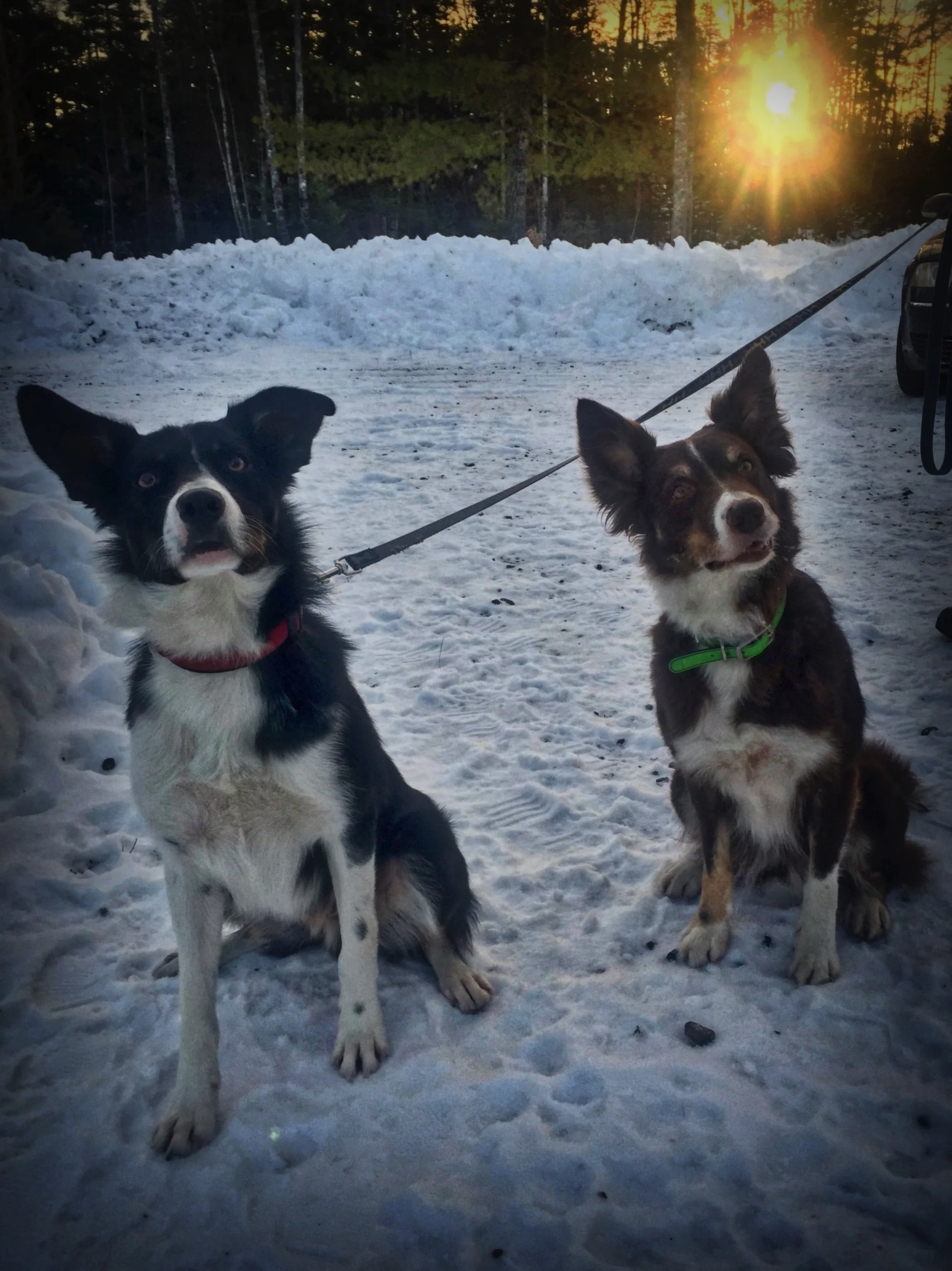 To find the perfect match!