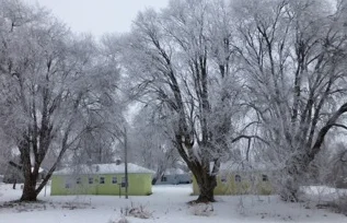 It's winter in Tieton!