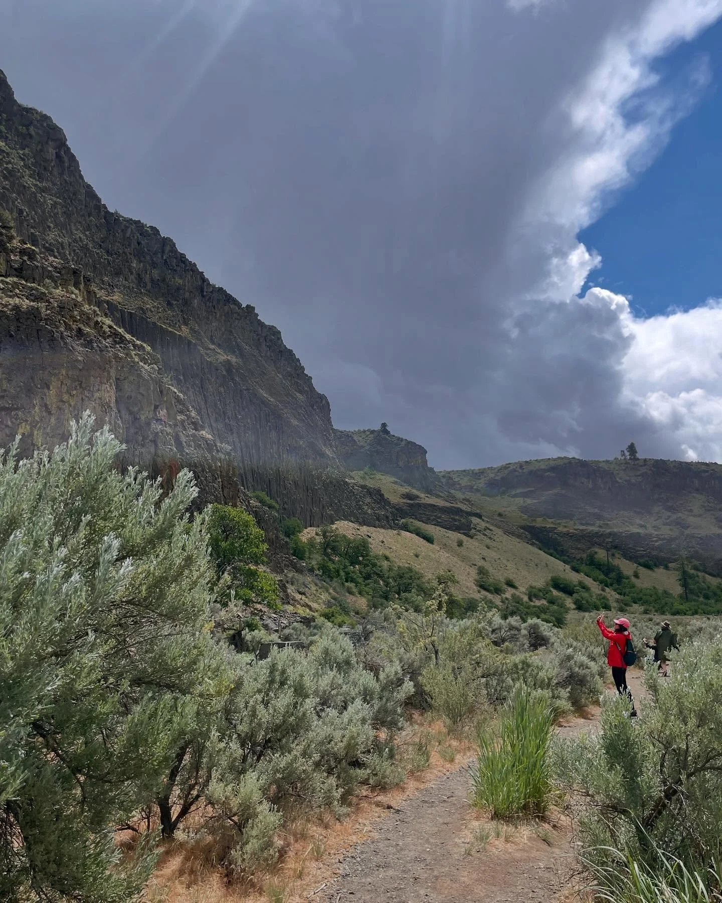High drama in the skies yesterday over the Tieton River valley. Spring moves quickly! 
The geology visible on the cliffs of the Tieton plateau is stunning, with geometric columns of andesite. Decades old sagebrush and bitterbrush smell sweet in the