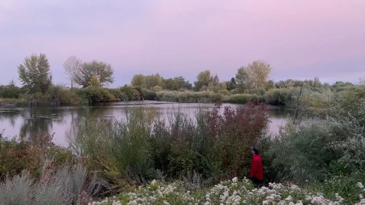She’s colorful and moody this time of year 💅
Common sights include Nick geeking out at the pond, turkey vultures circling the back field, technicolor cloud formations.
#pnwonderland #harvesttime