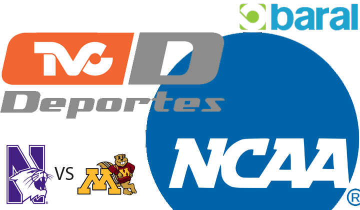 NCAA Basketball: Northwestern @ Minnesota