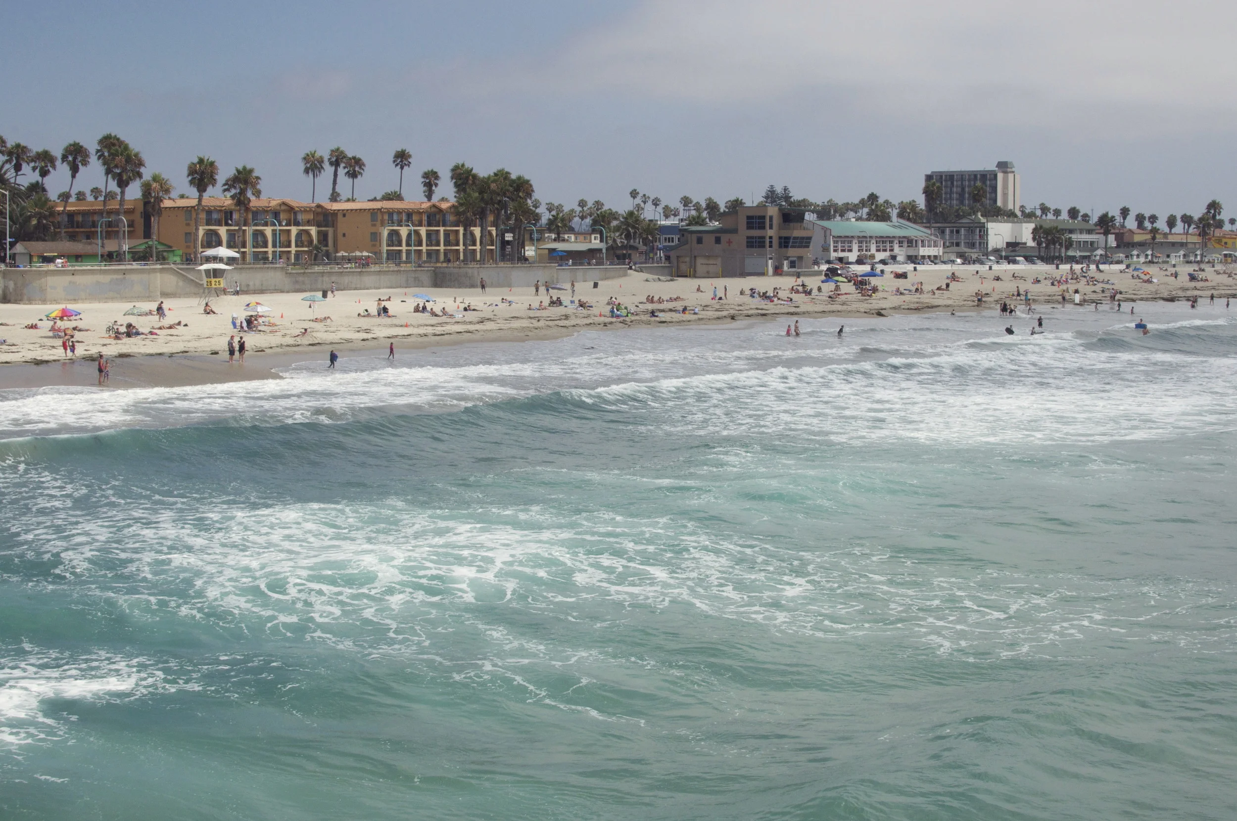 DSC_0807.jpg