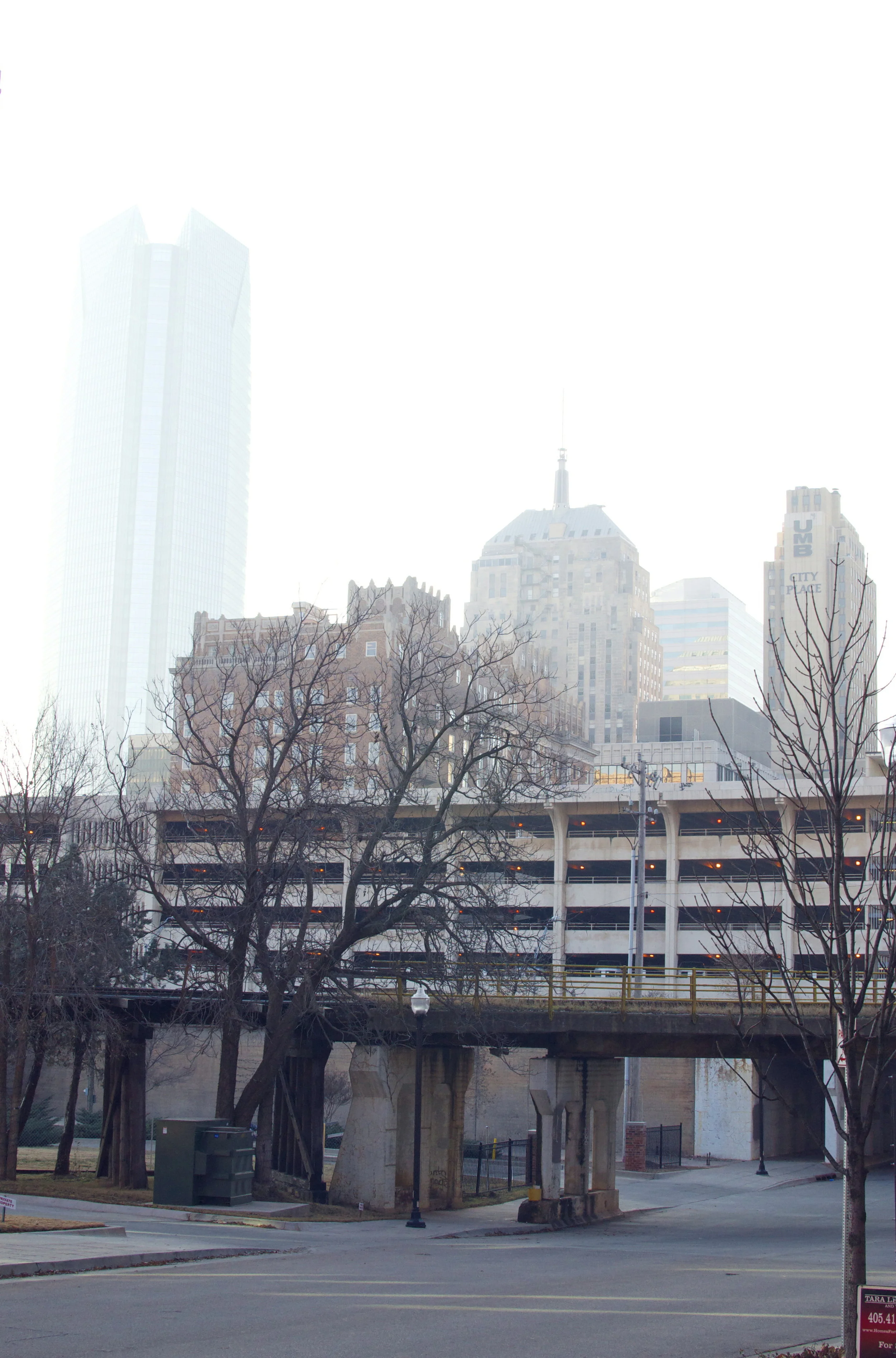 DSC_0012.jpg