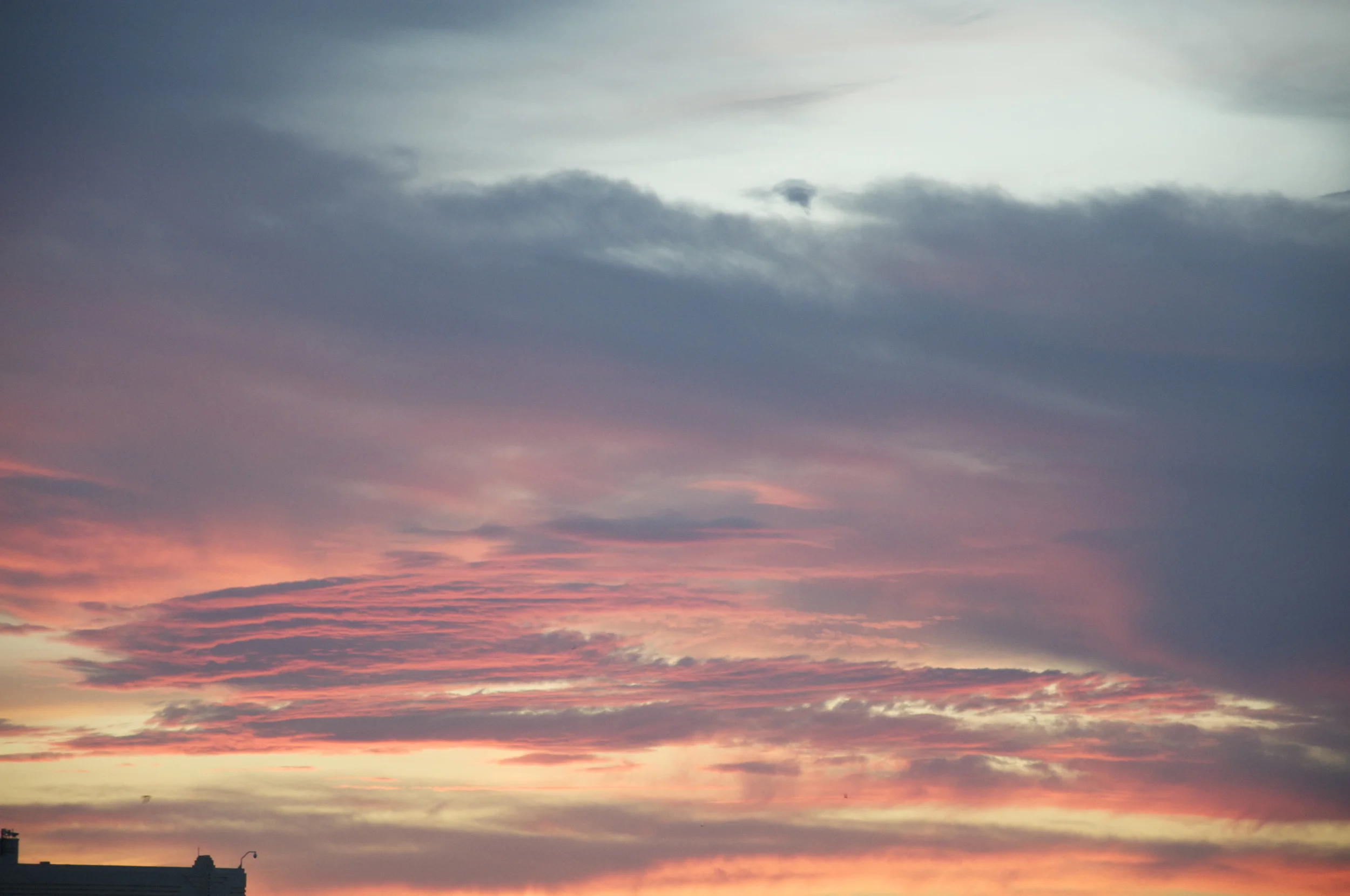DSC_0056.jpg