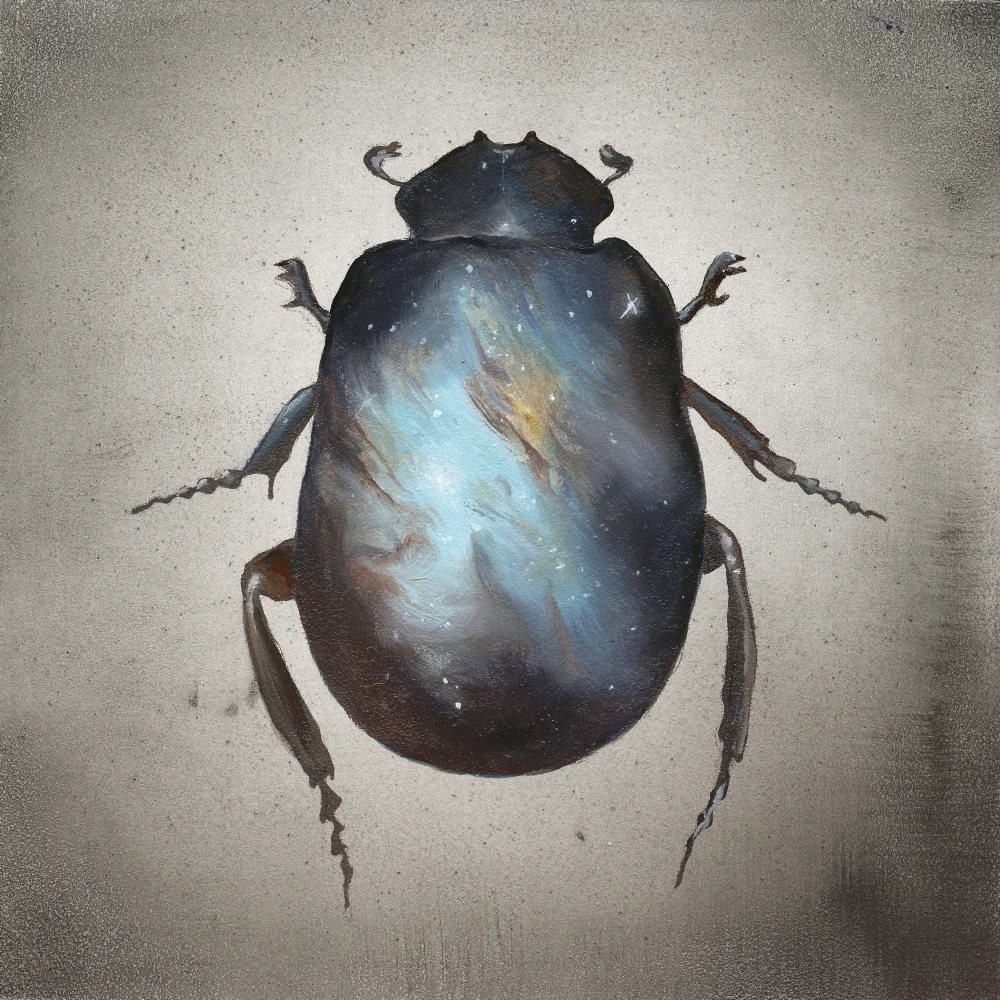Scarab (ITEM NO: 004) Print Size: 8x8 inches $12.50 Wholesale at 50% off $25 RRP