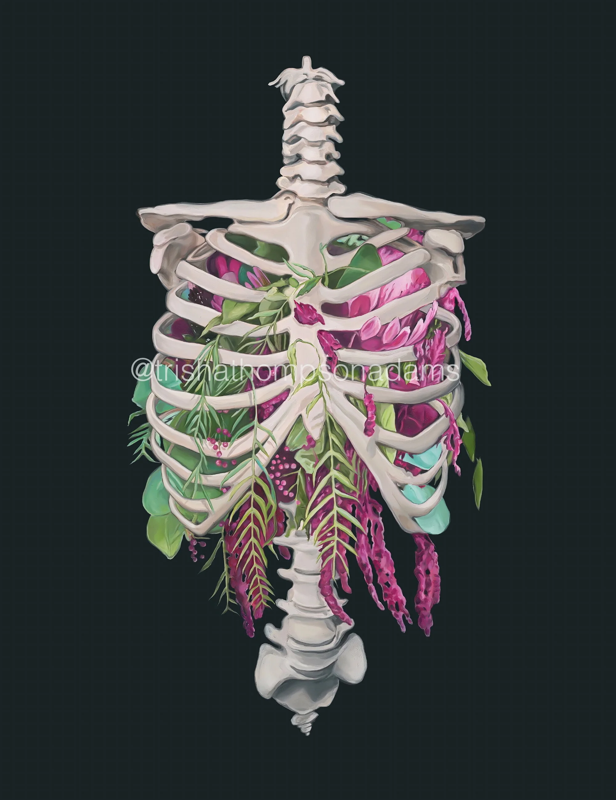 SHOP ANATOMY ART PRINTS AND PAINTINGS Trisha Thompson Adams