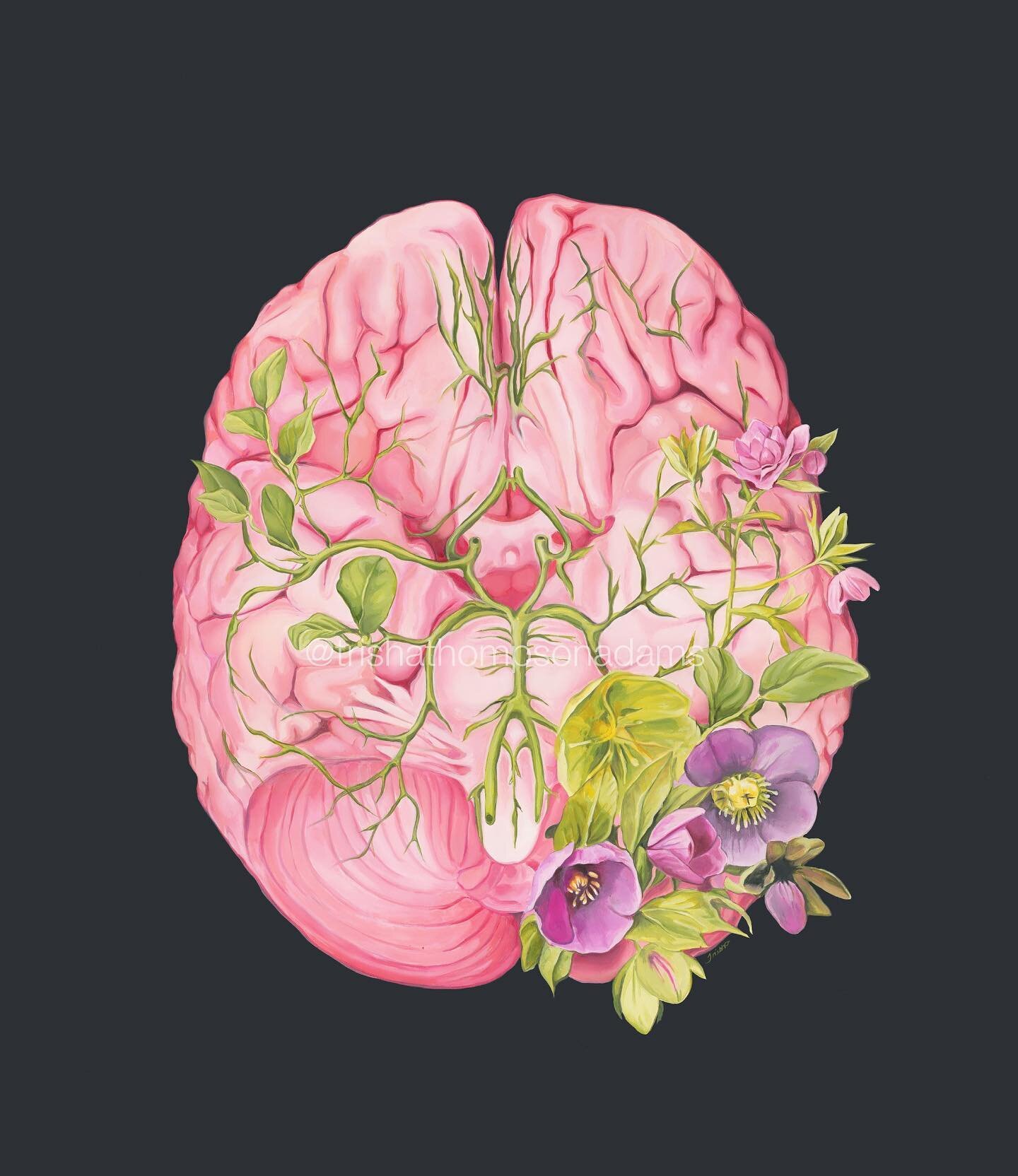 ✨New✨ Floral Brain II oil painting 2022. Thanks so much for your patience while getting these new pieces out 🙏🏼 Prints up on the site ☺️ 

#oilpainting #brain #brainhealth #brainart #floralanatomy #anatomy #anatomicalart #floralbrain #beautifulbiza