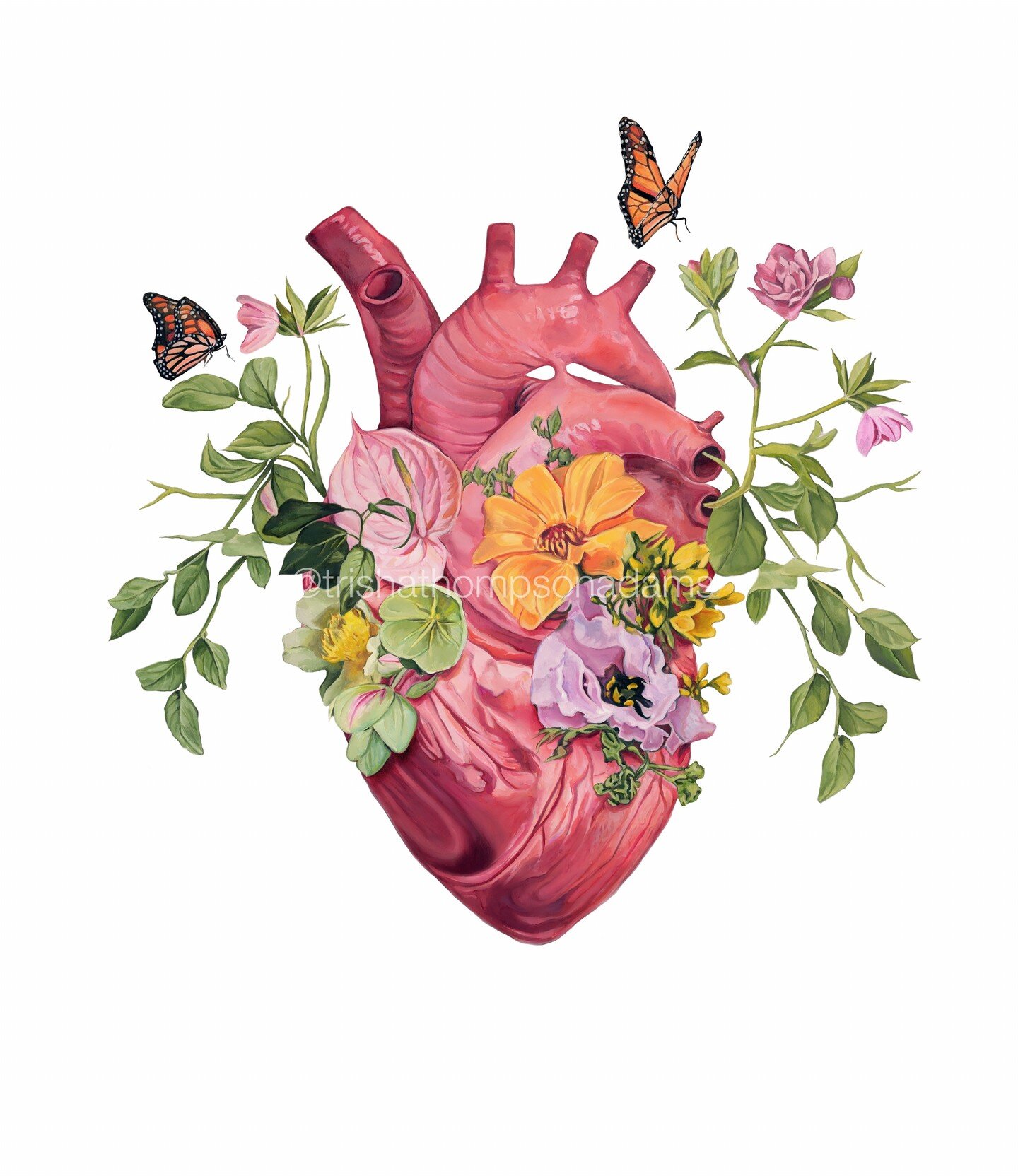 Flutter Heart with a white background ⚡ 15% off end of summer sale ends soon! 

#oilpainting #anatomicalheart #anatomy #anatomyart #heart #heartart #humananatomy #floralanatomy #flowers #beautifulbizarre