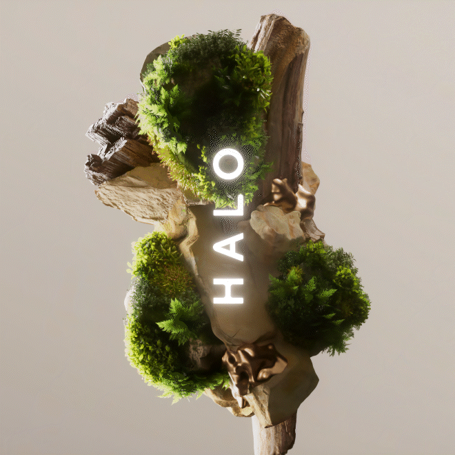 Halo 3840x2160_Prores_R10_Thumbnail.gif