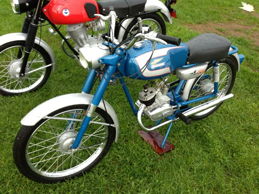 vmd0062.jpg