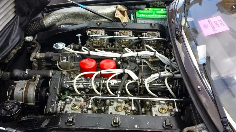 20140810_141504.jpg