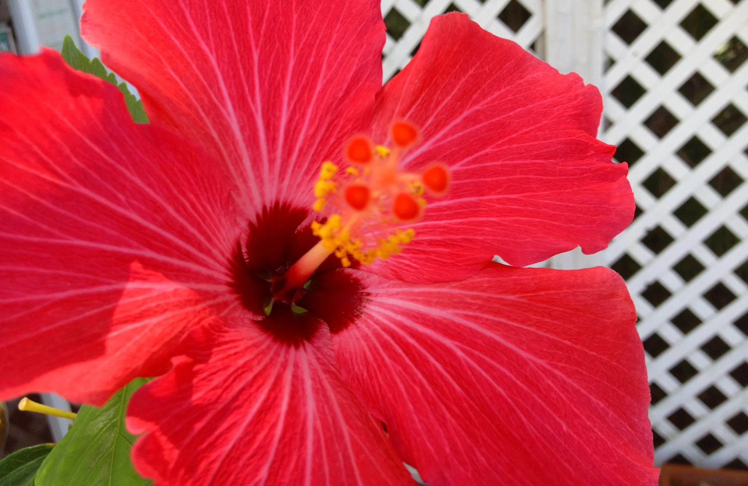 banner10.jpg