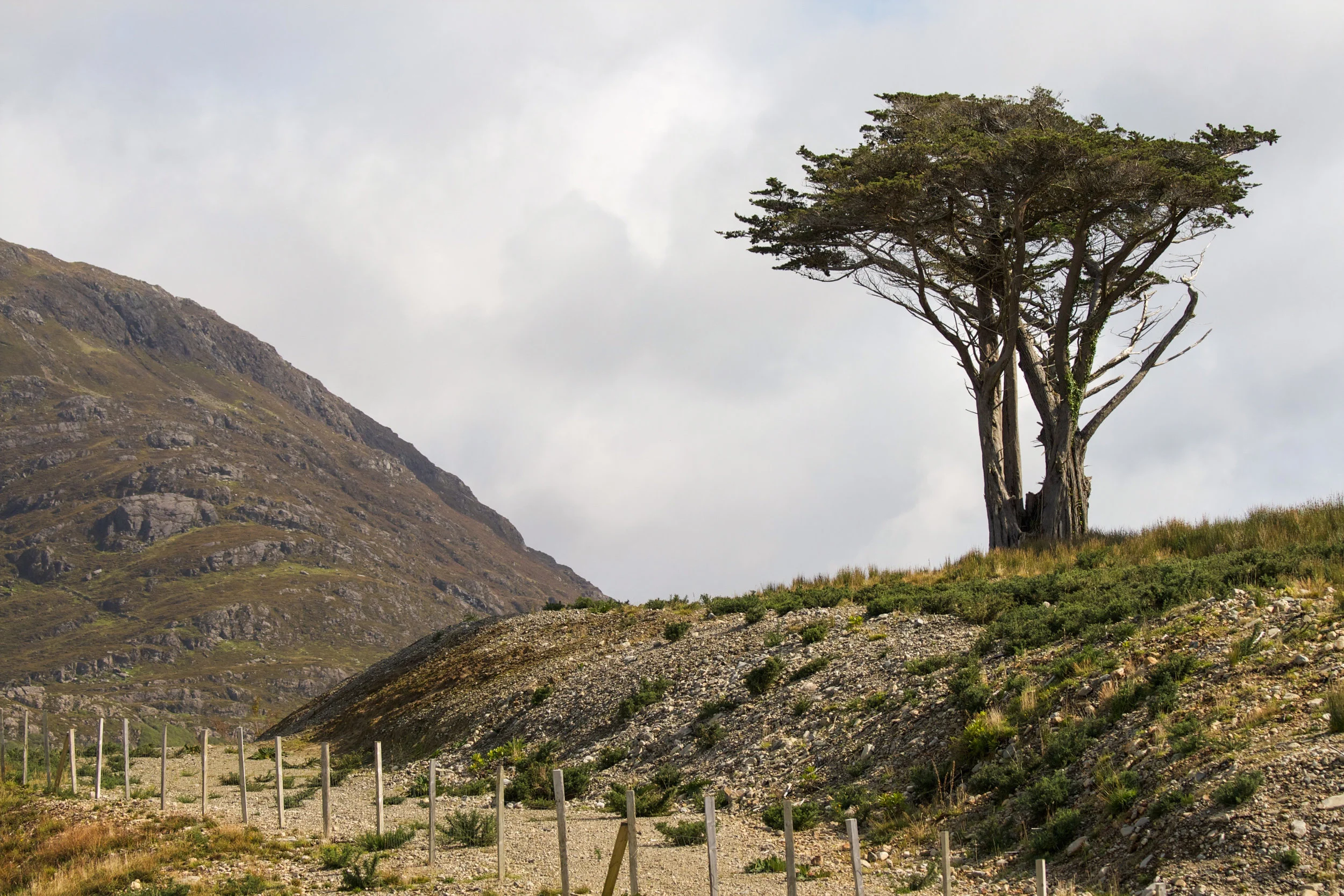 Ireland