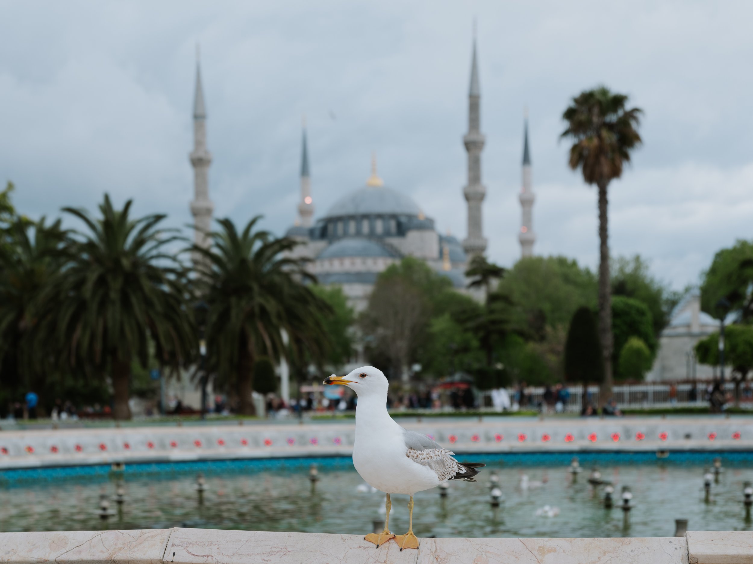 Istanbul-2.jpg