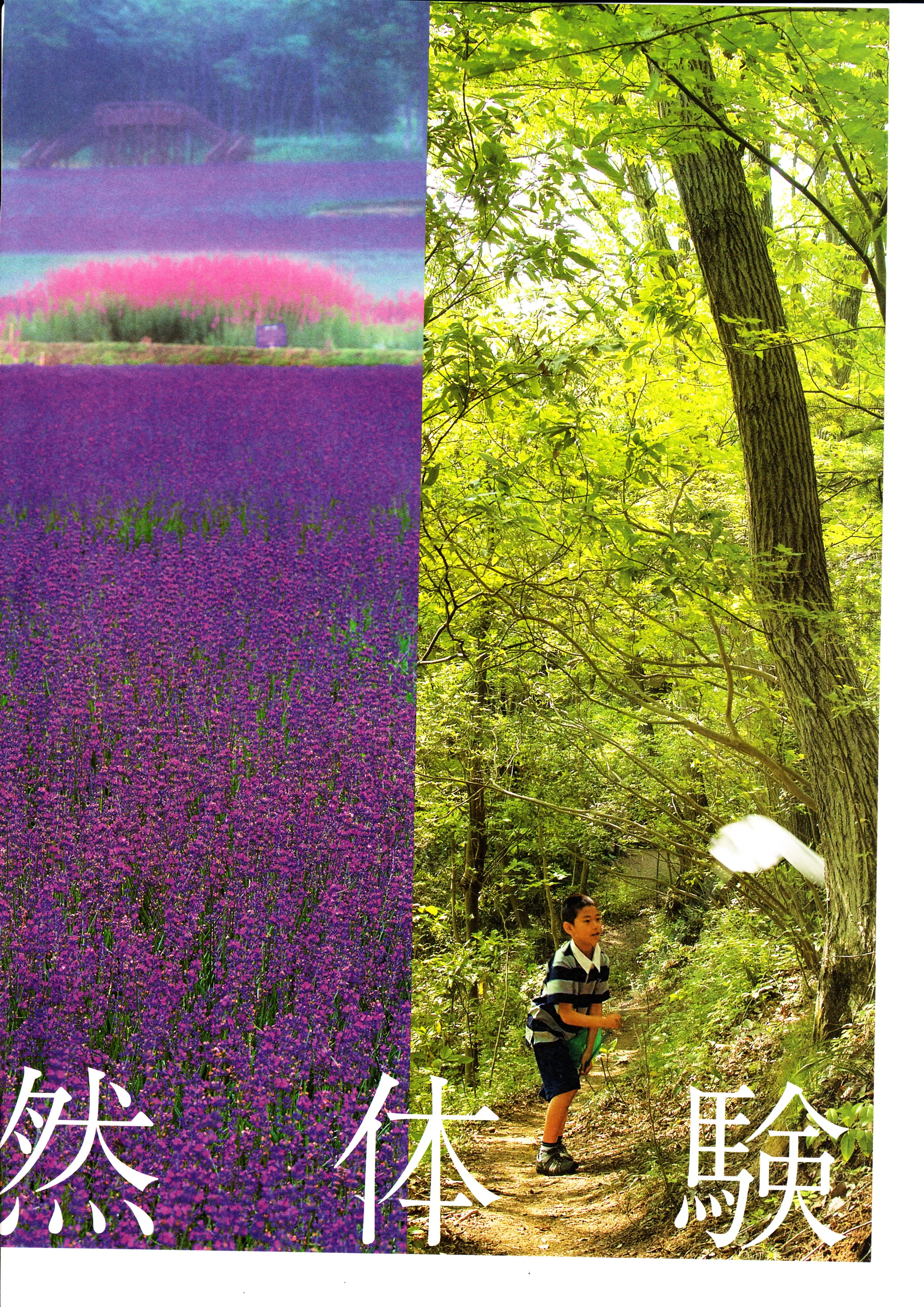 AERA with Kids Summer 2012 page 12.jpg