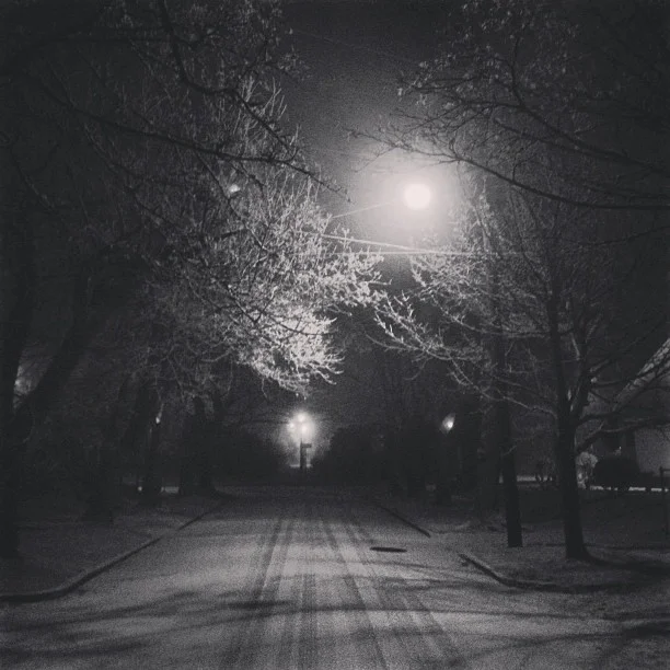 Snow day in Ladd's Addition